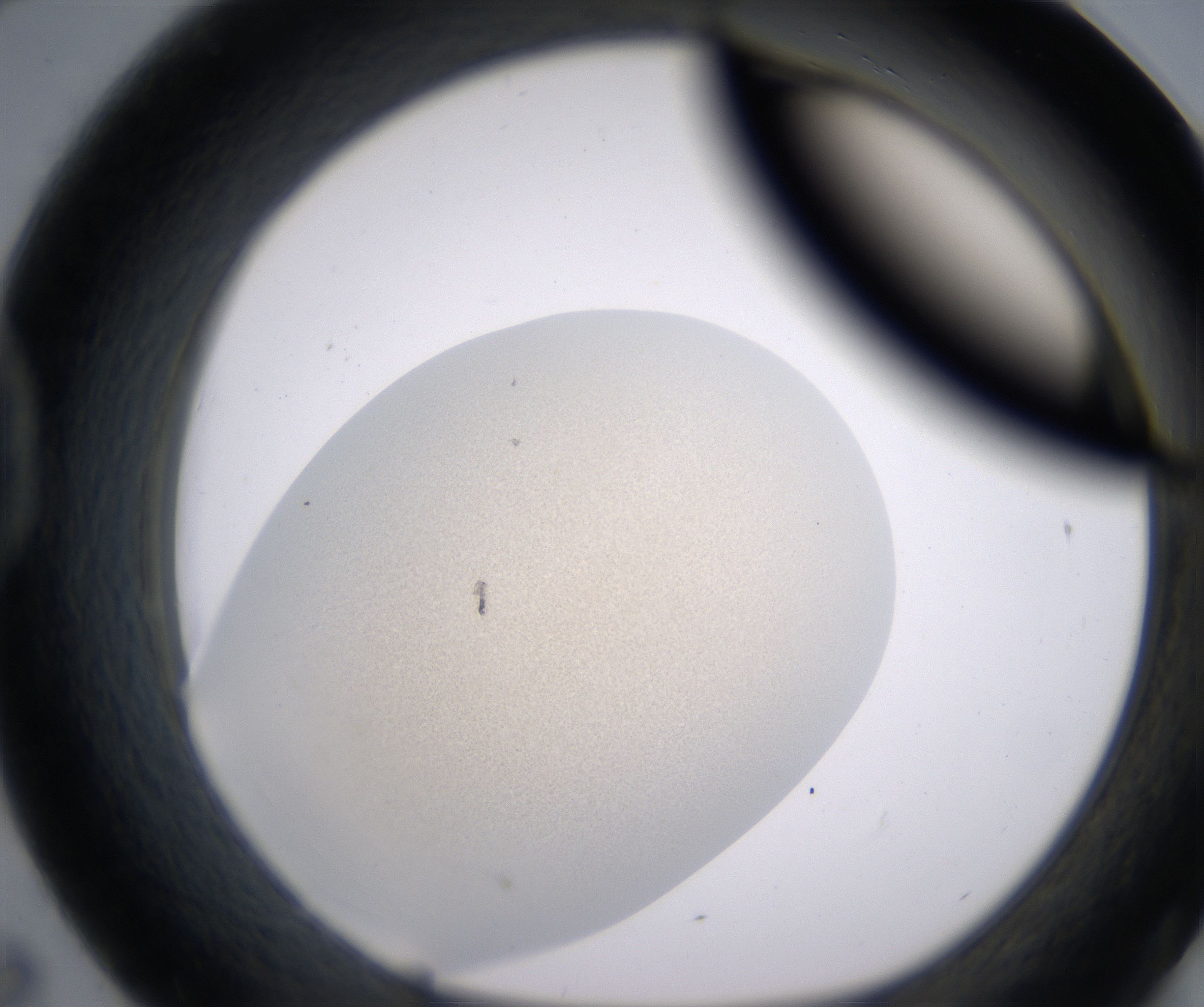 D7_HighResolution_Precipitate_1.jpg