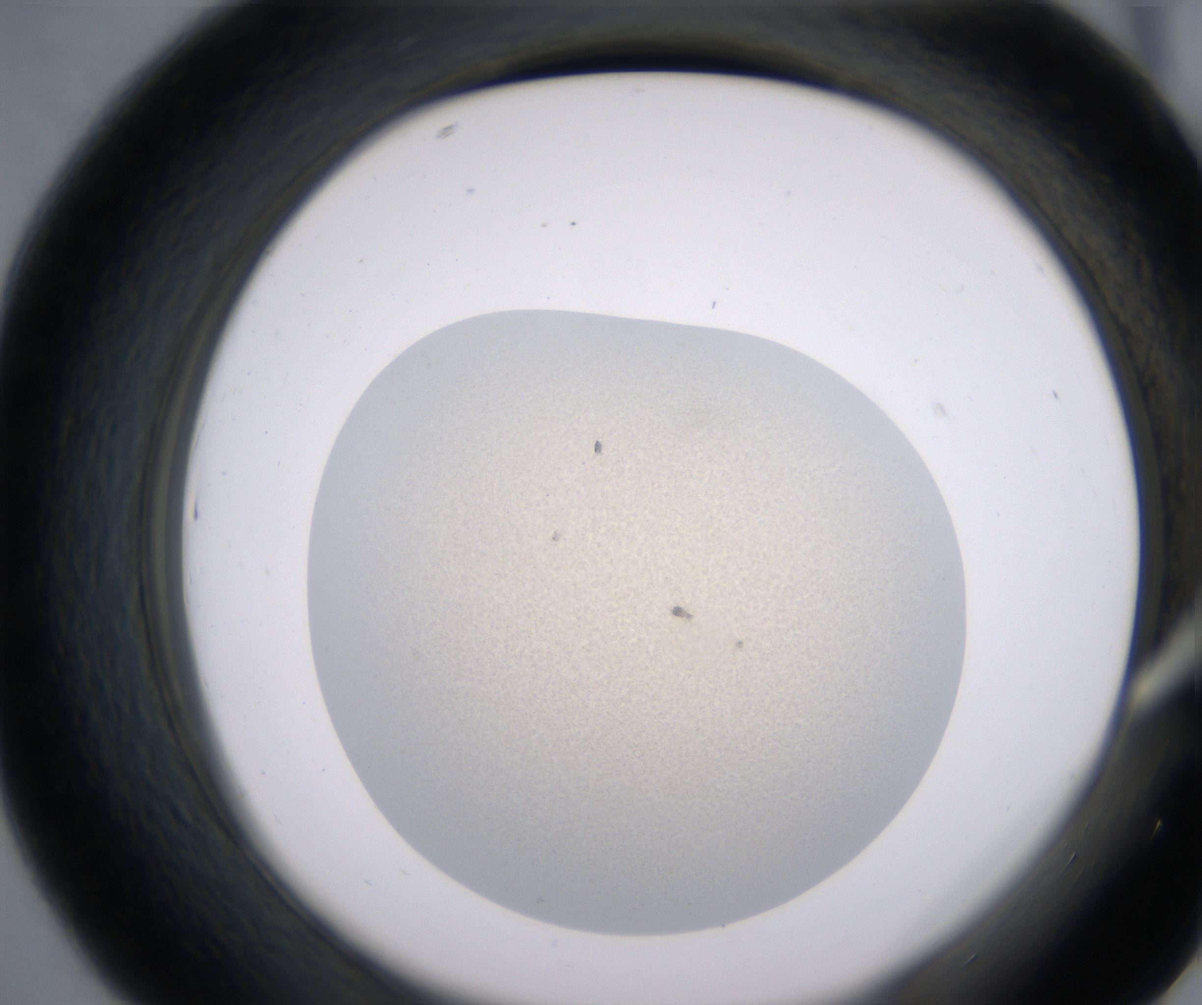 D7_HighResolution_Precipitate_2.jpg