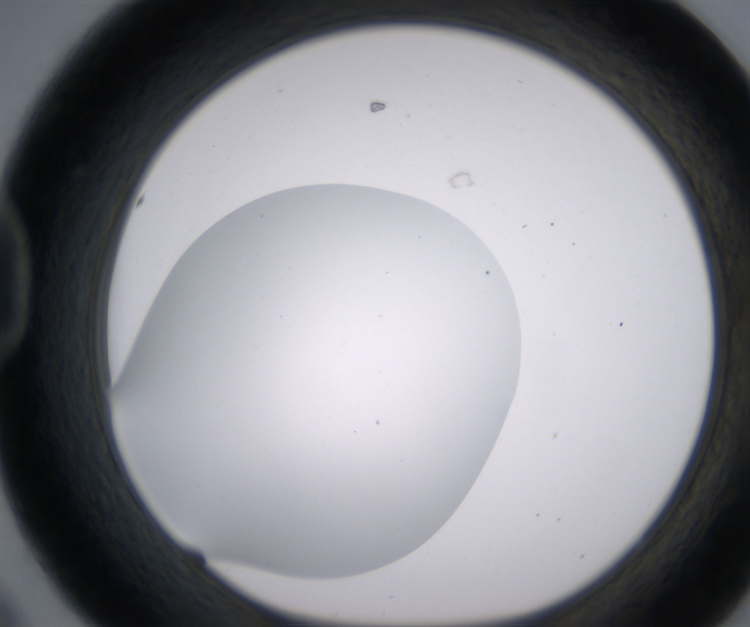 D8_HighResolution_Clear_1.jpg