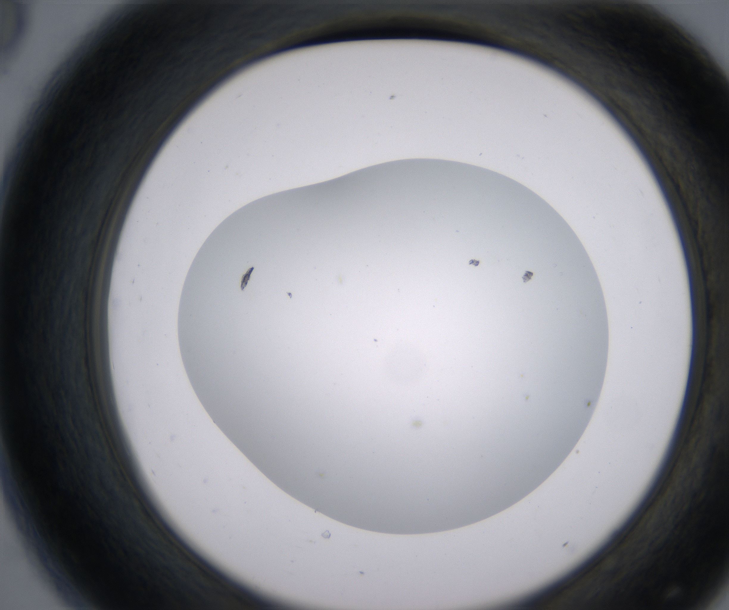 D8_HighResolution_Clear_2.jpg