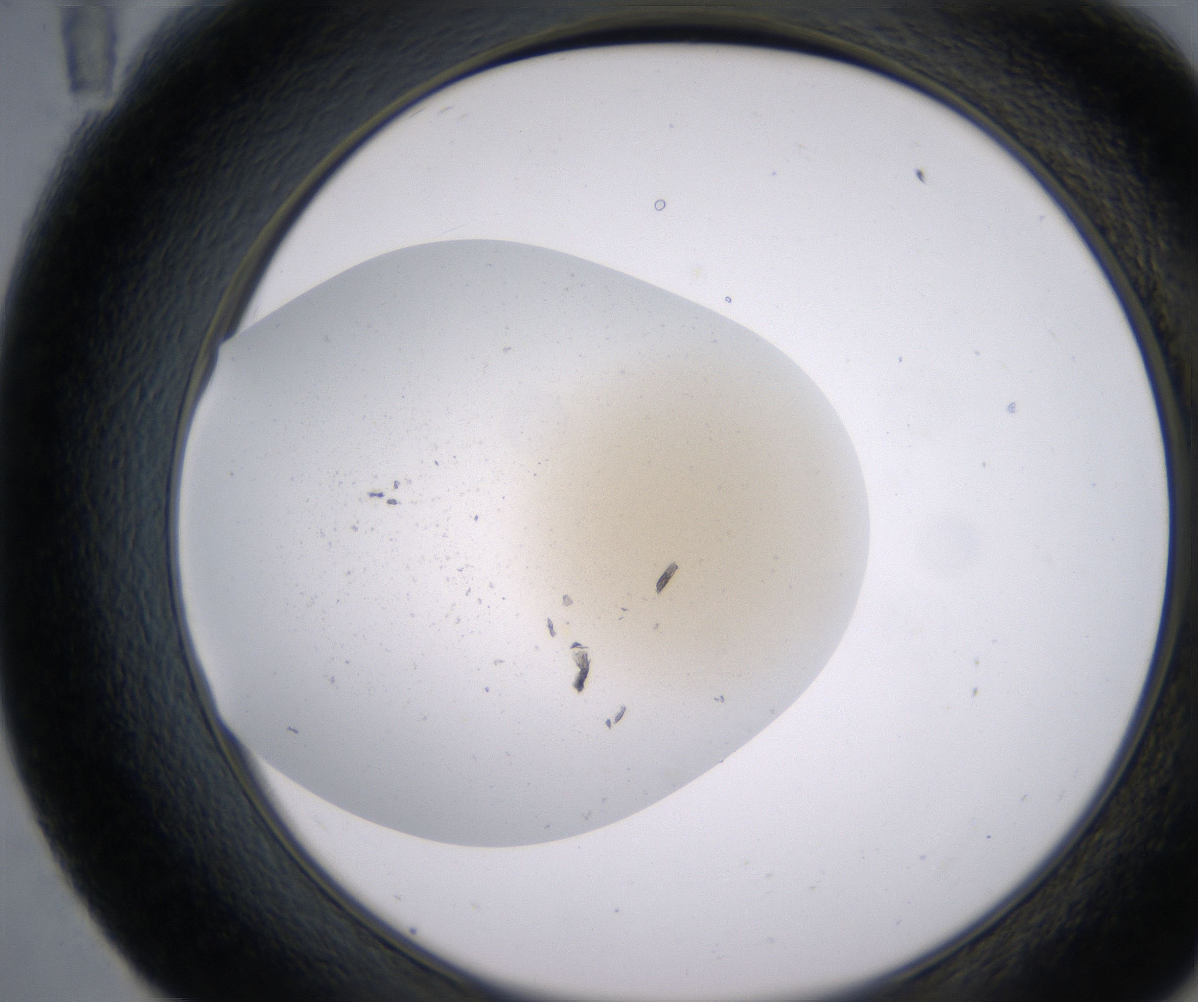 E11_HighResolution_Precipitate_2.jpg