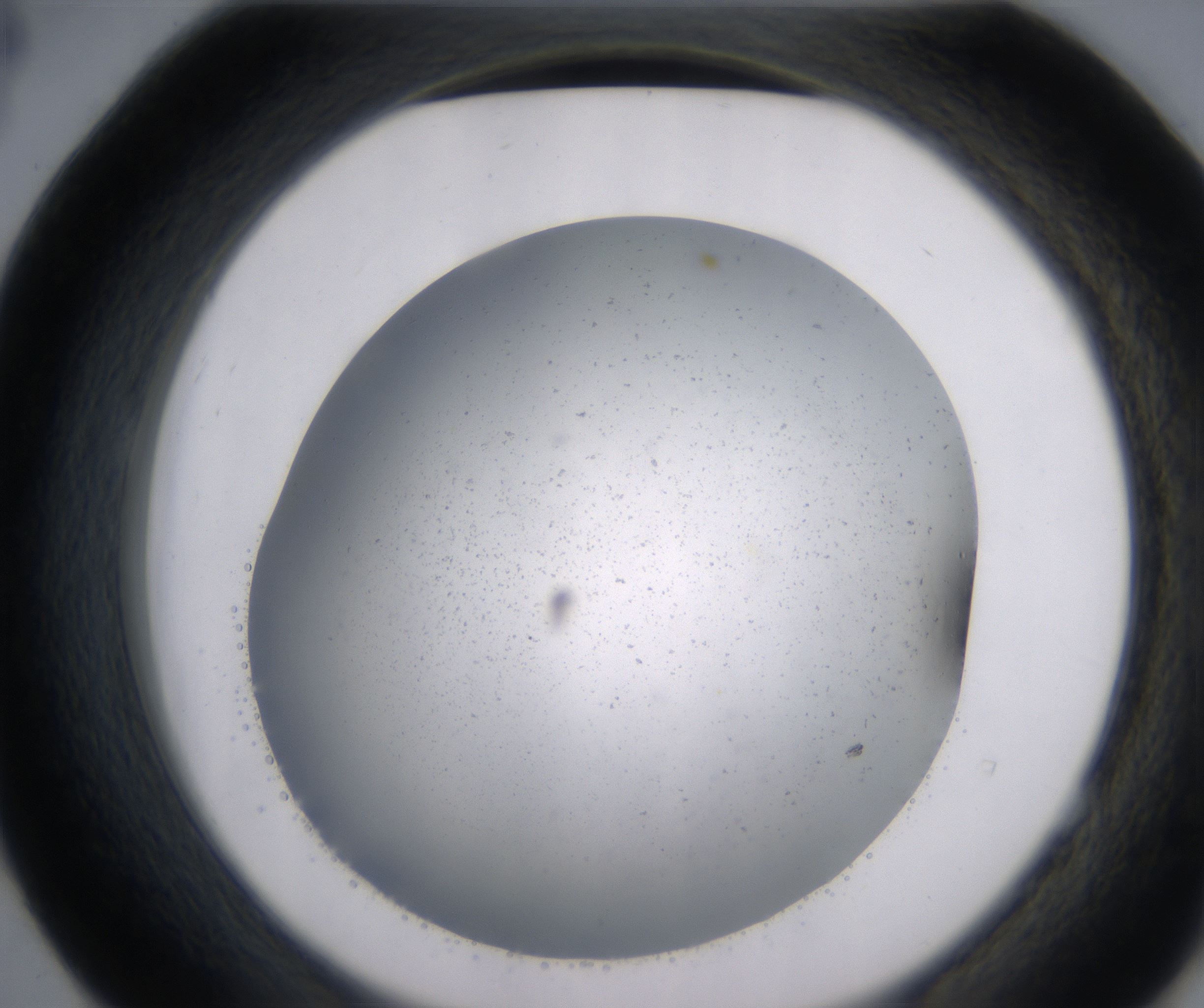 E4_HighResolution_Precipitate_2.jpg