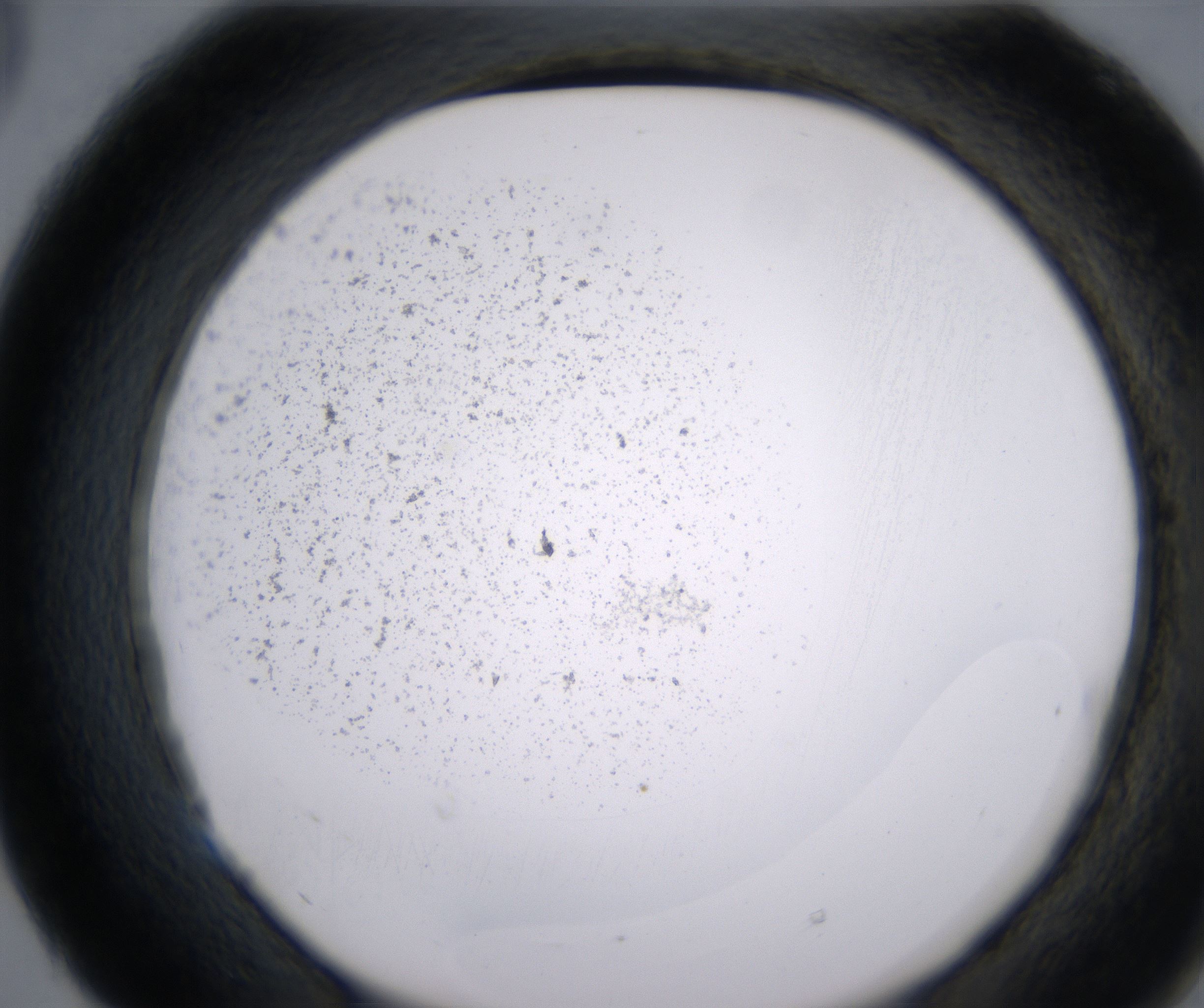 E5_HighResolution_Precipitate_2.jpg