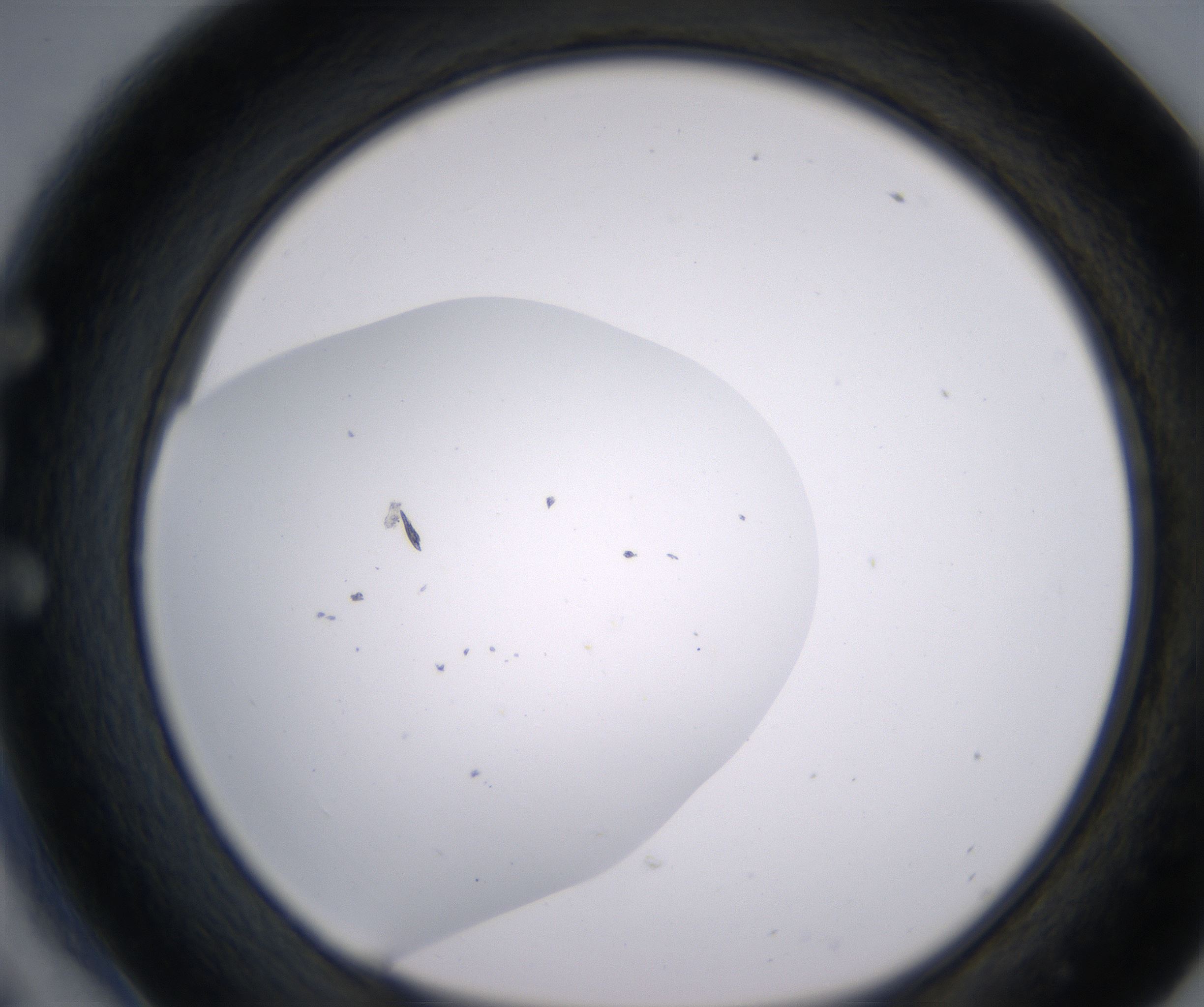 E6_HighResolution_Clear_1.jpg