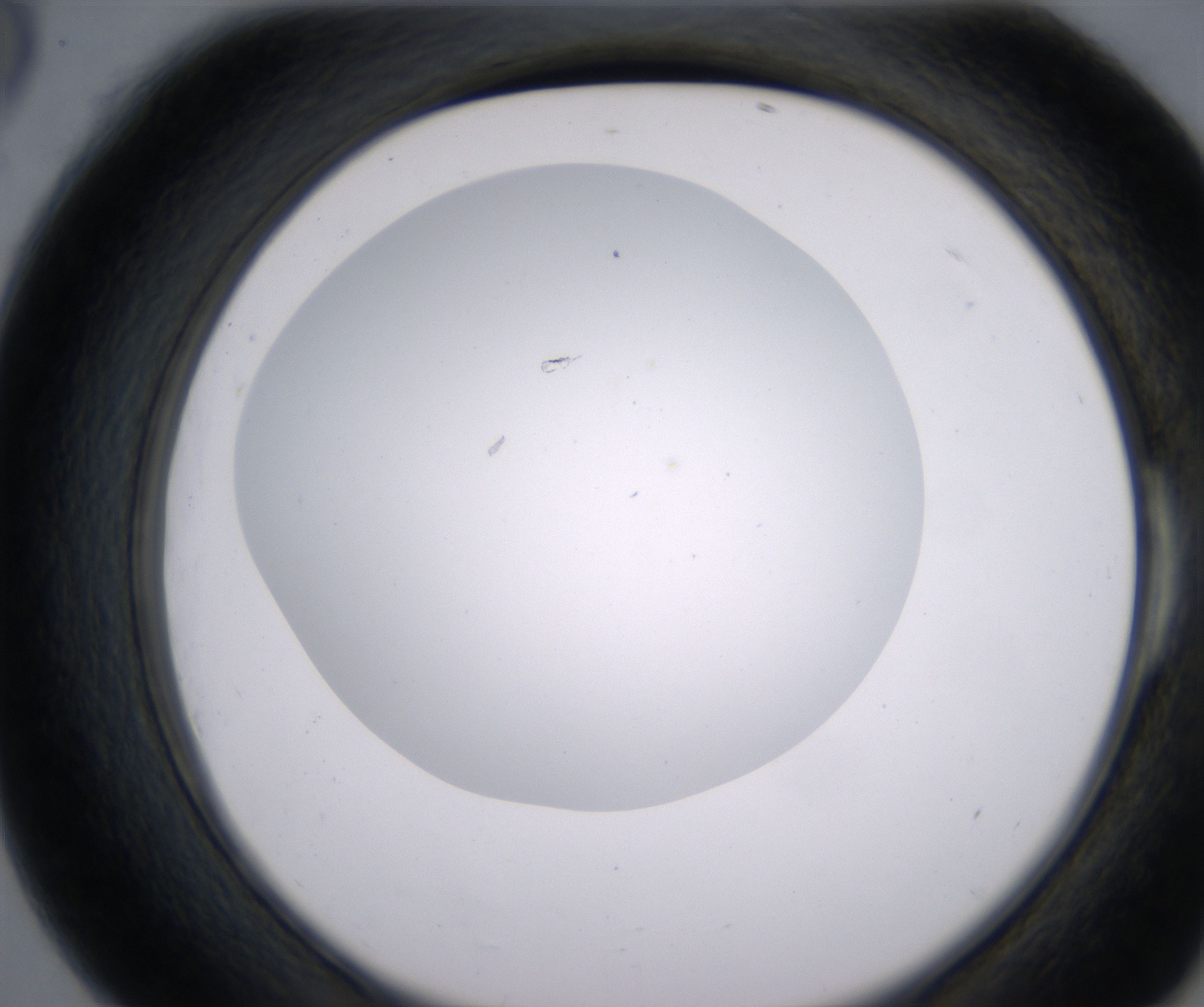 E6_HighResolution_Clear_2.jpg