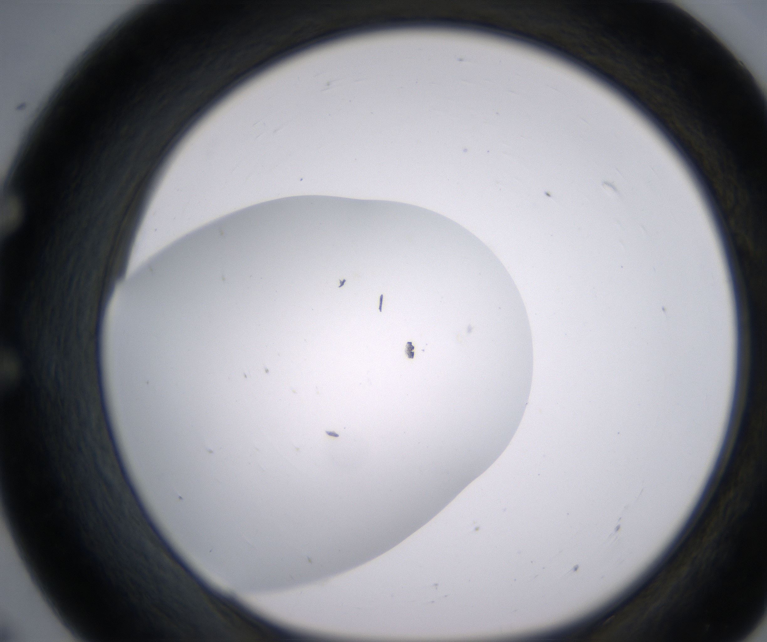 E7_HighResolution_Clear_1.jpg