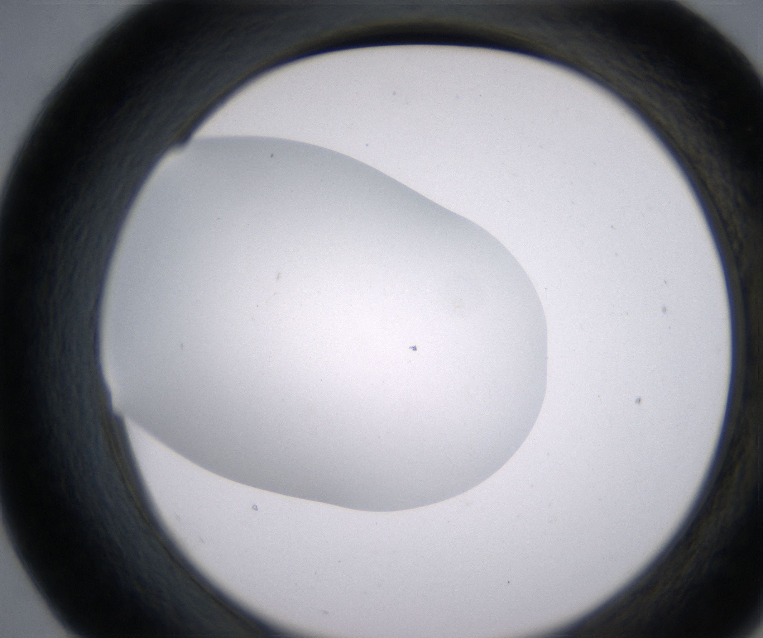 E7_HighResolution_Clear_2.jpg