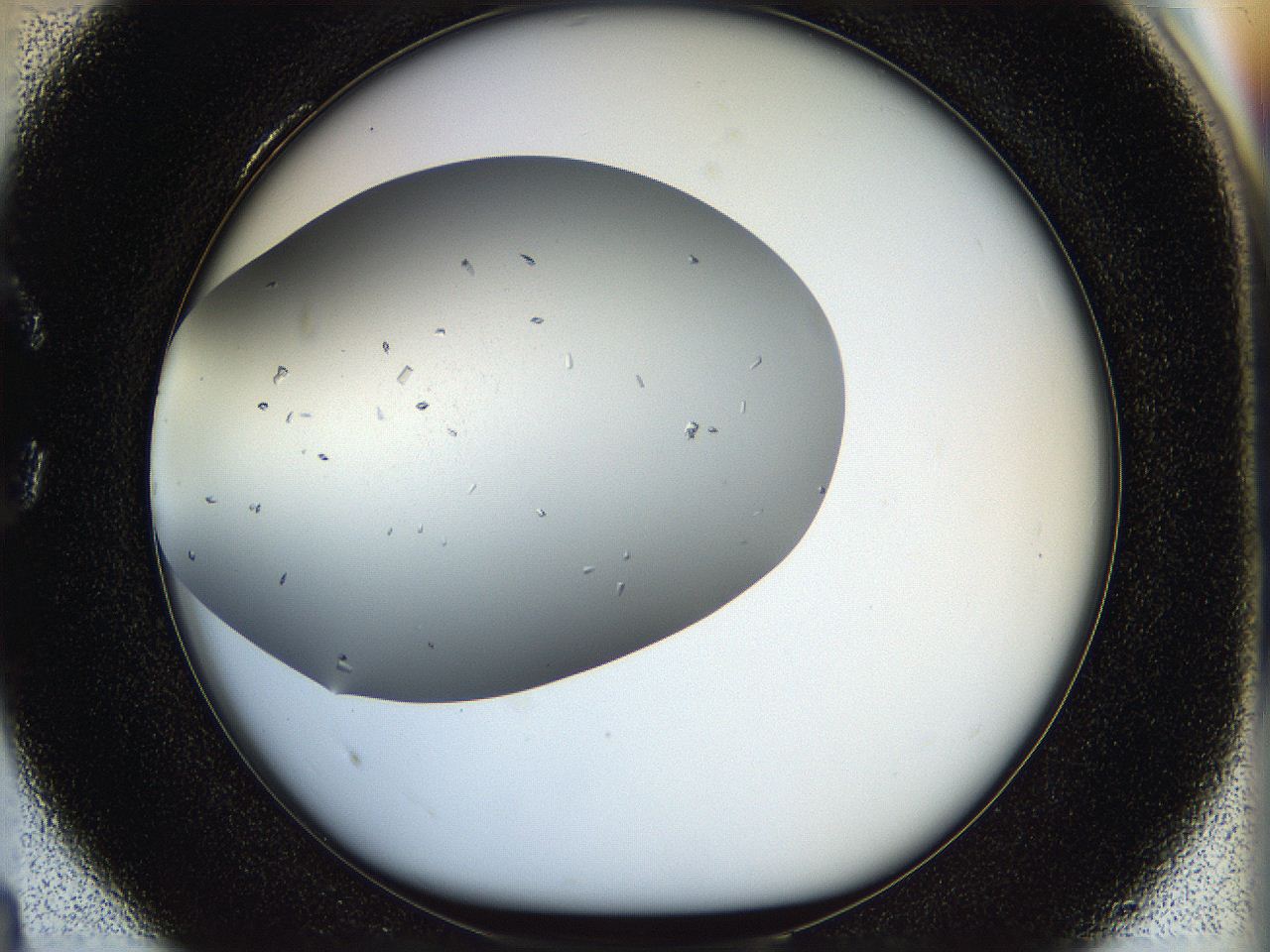 05jp_C4_ImagerDefaults_8.jpg