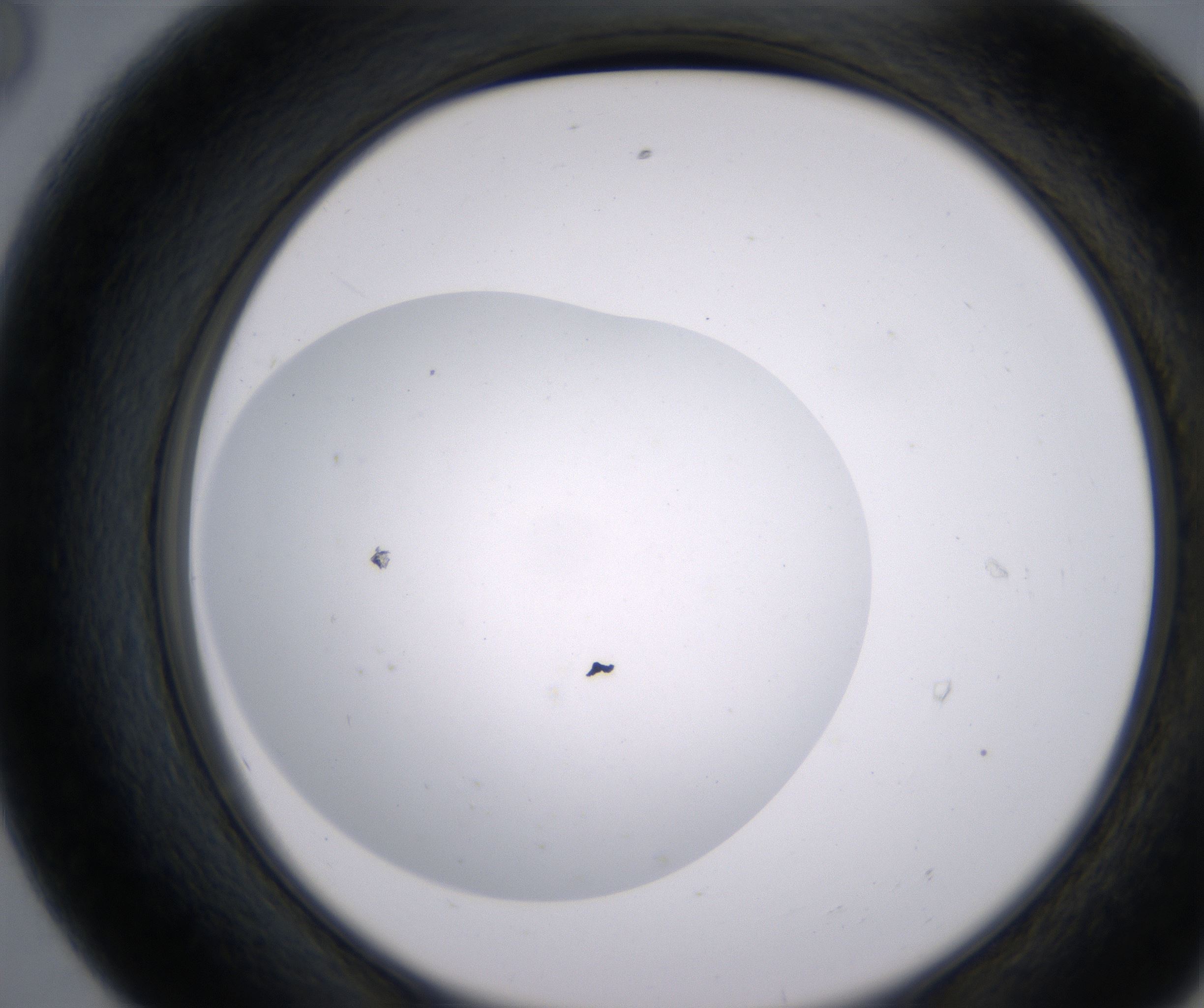 E8_HighResolution_Clear_2.jpg