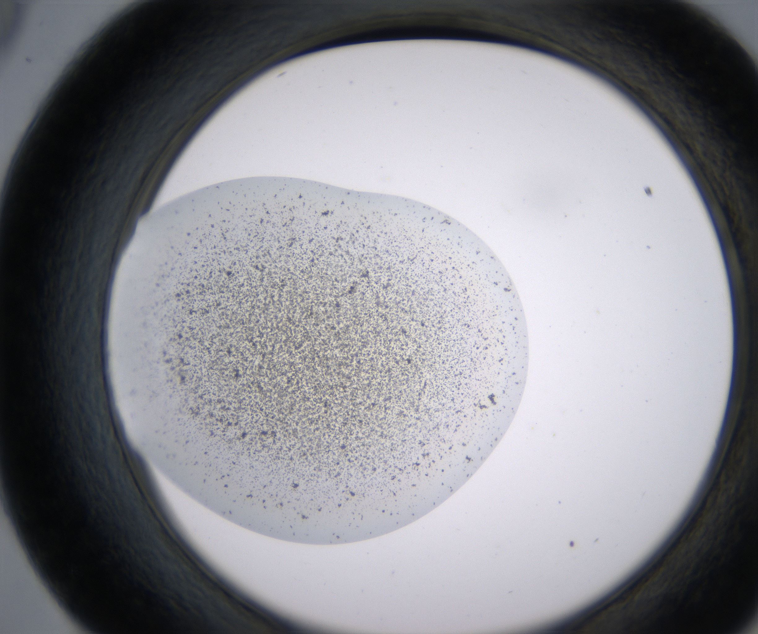 E9_HighResolution_Precipitate_2.jpg