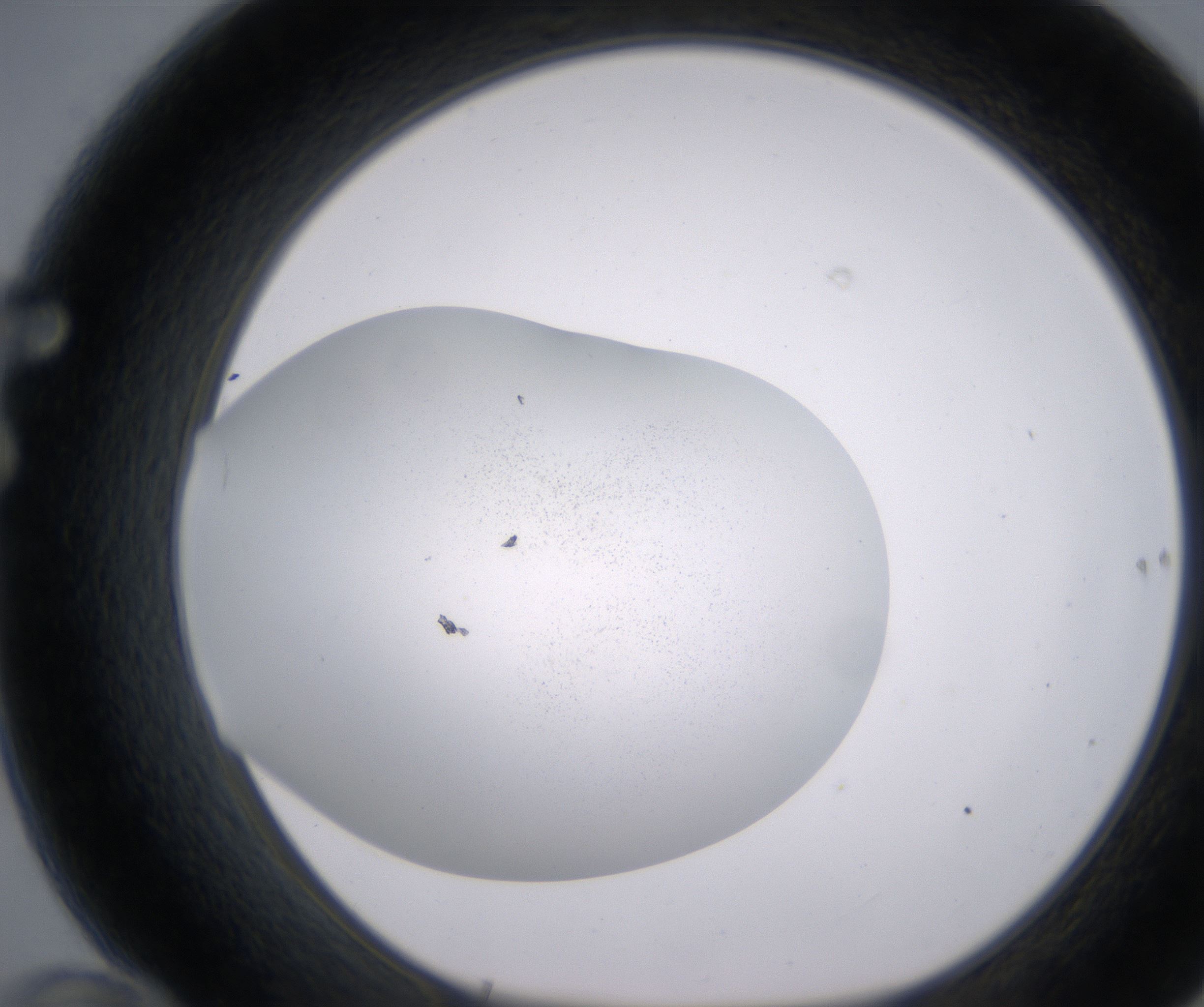 F10_HighResolution_Precipitate_1.jpg