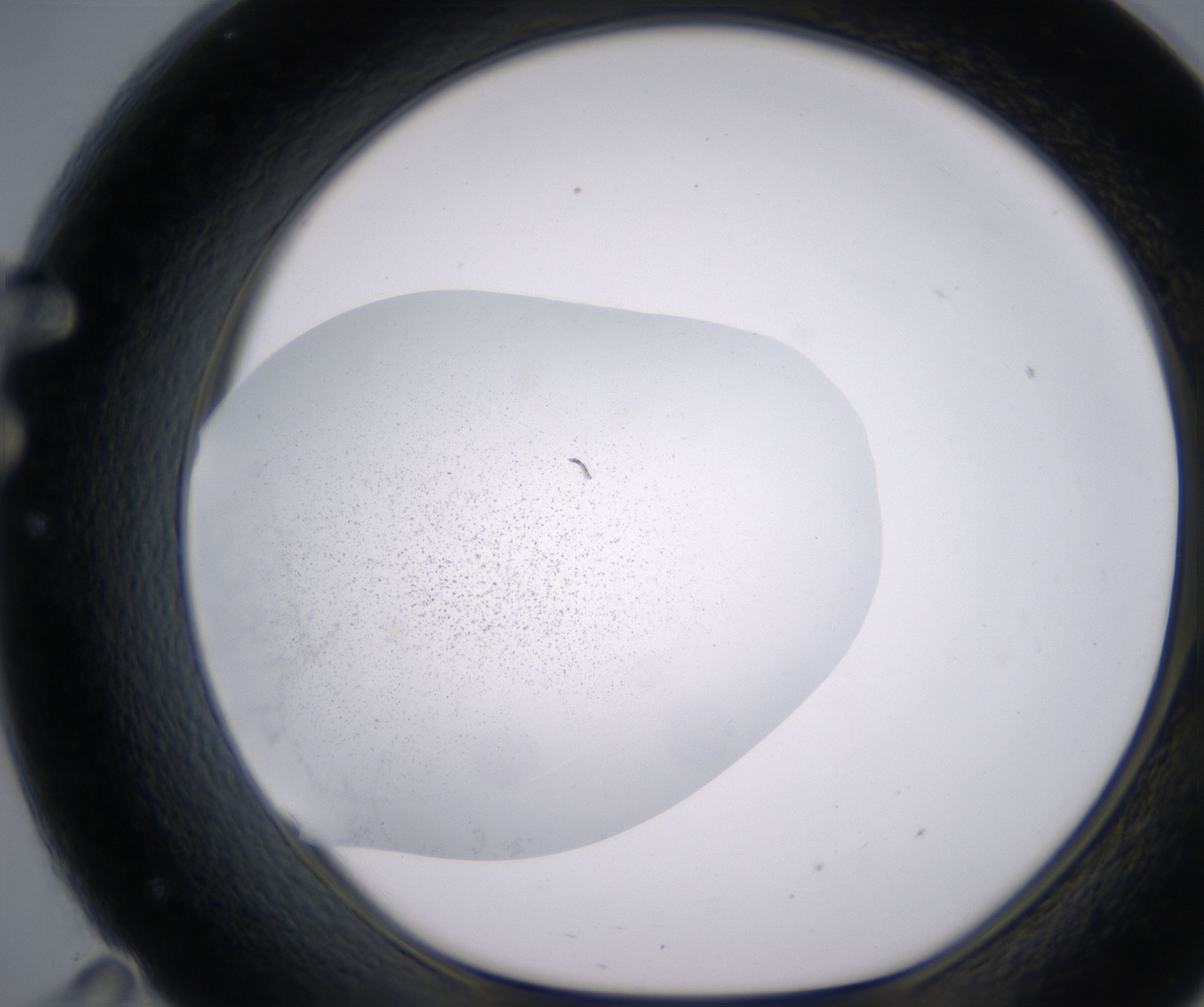F11_HighResolution_Precipitate_1.jpg