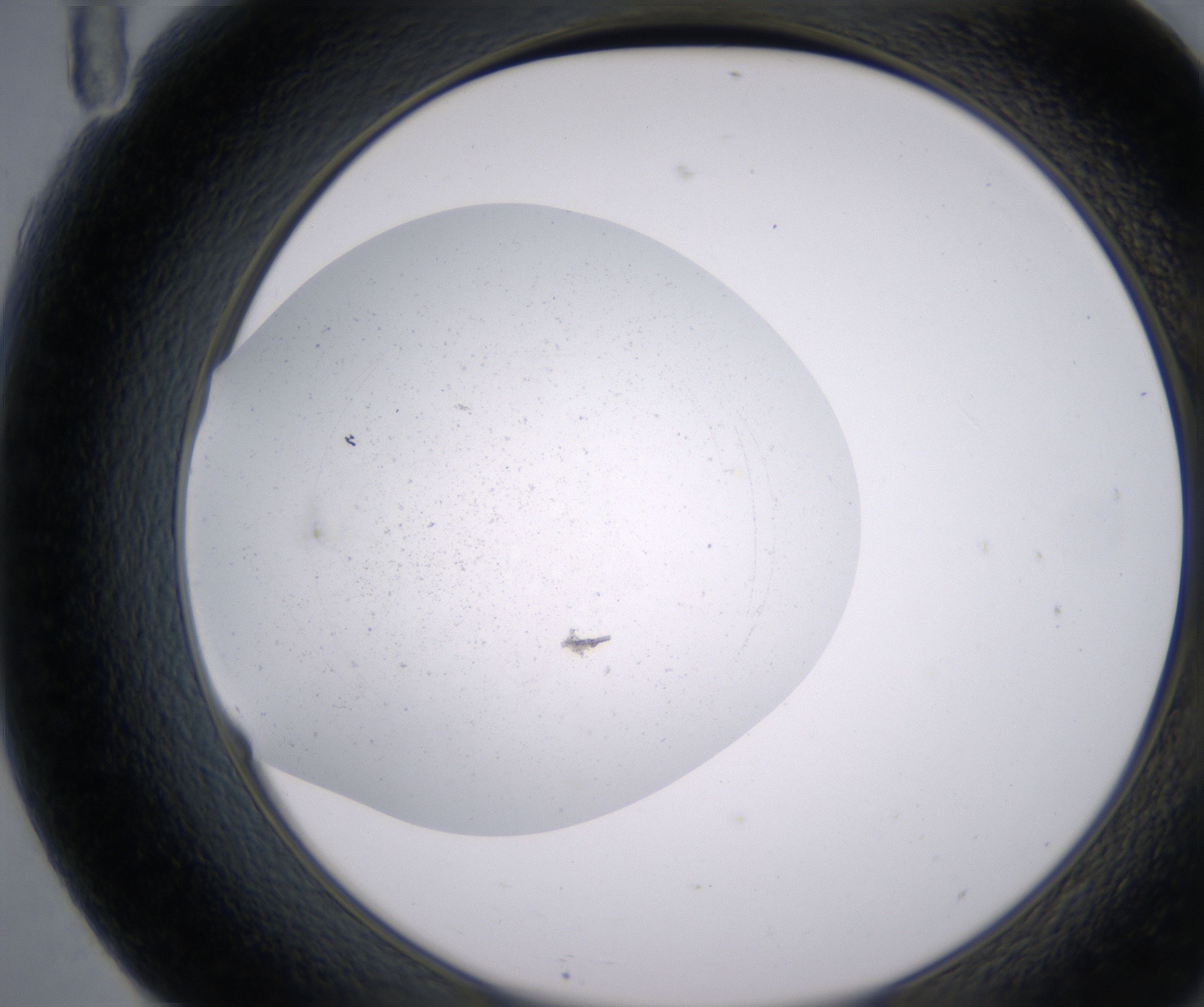 F11_HighResolution_Precipitate_2.jpg