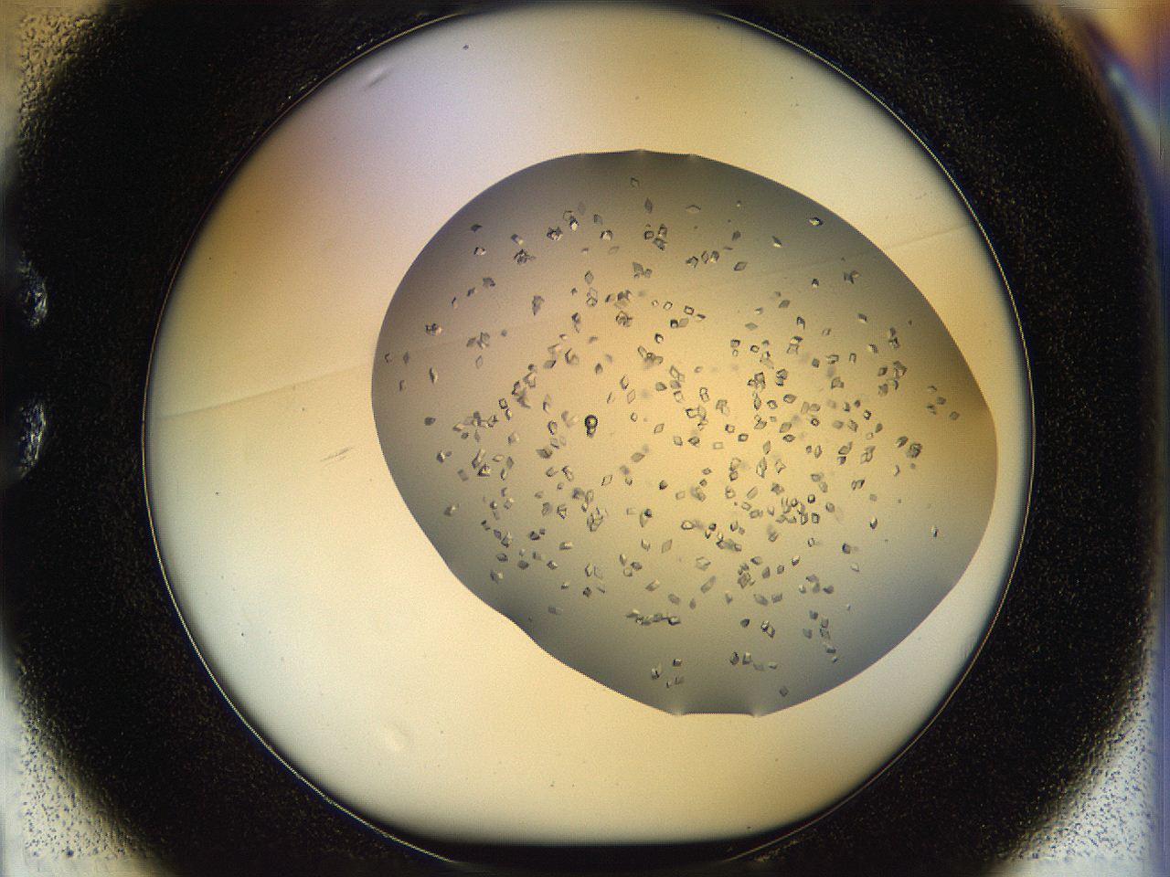 05jp_C1_ImagerDefaults_8.jpg