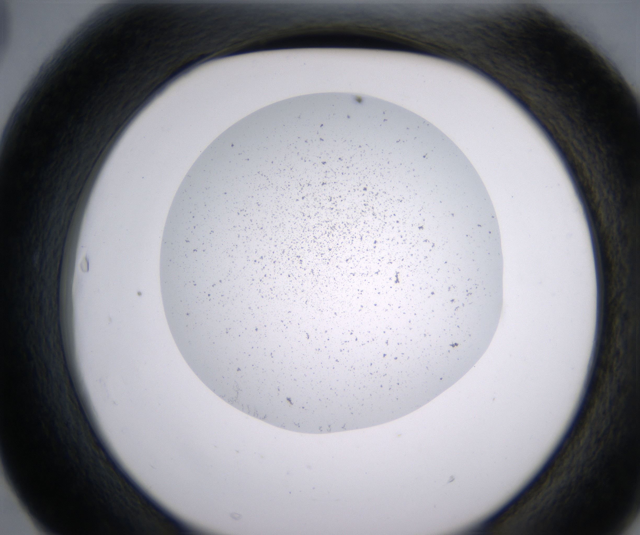 F3_HighResolution_Precipitate_2.jpg