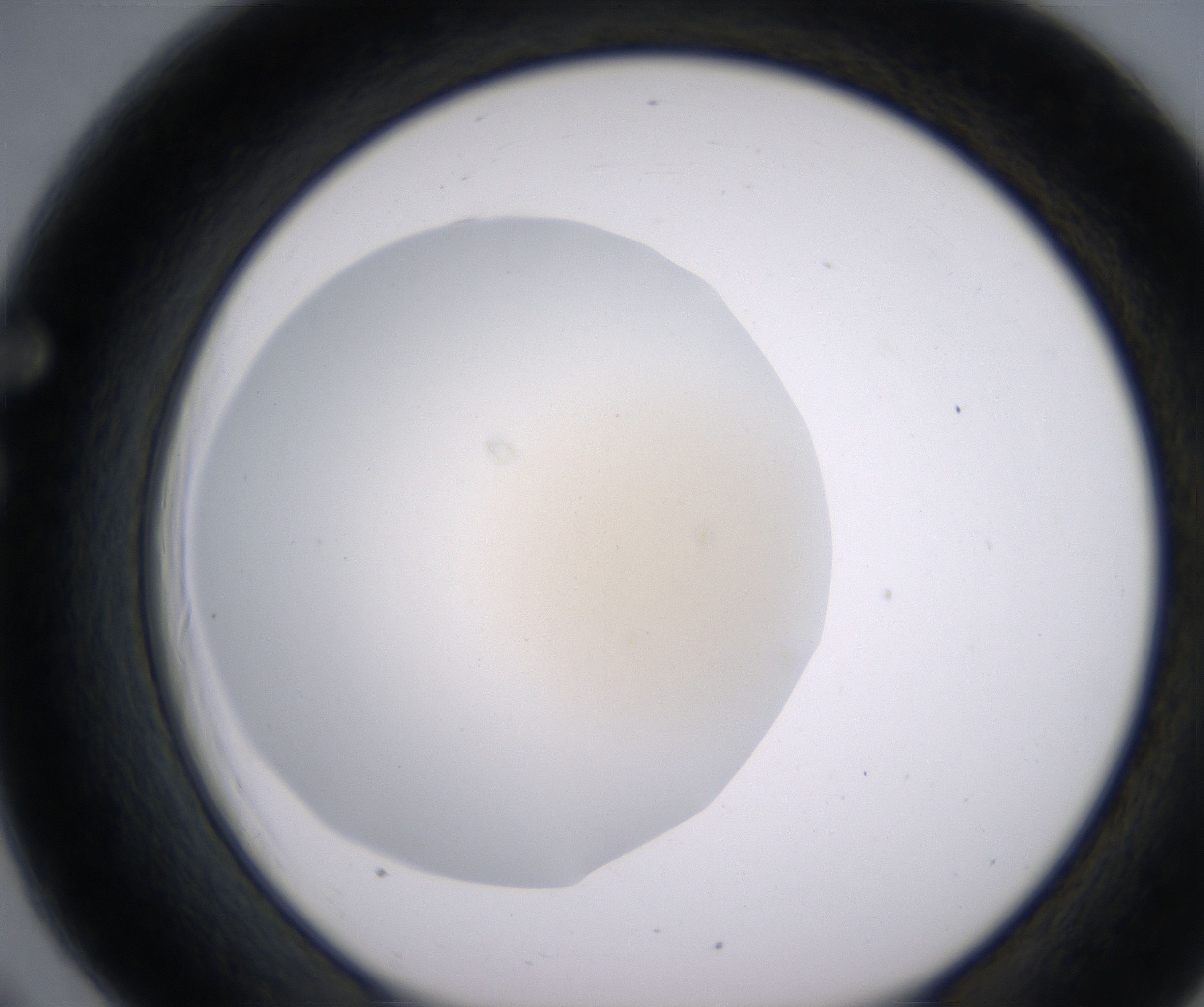 F6_HighResolution_Clear_1.jpg