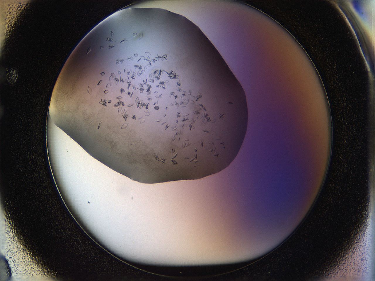 05jp_F3_ImagerDefaults_8.jpg