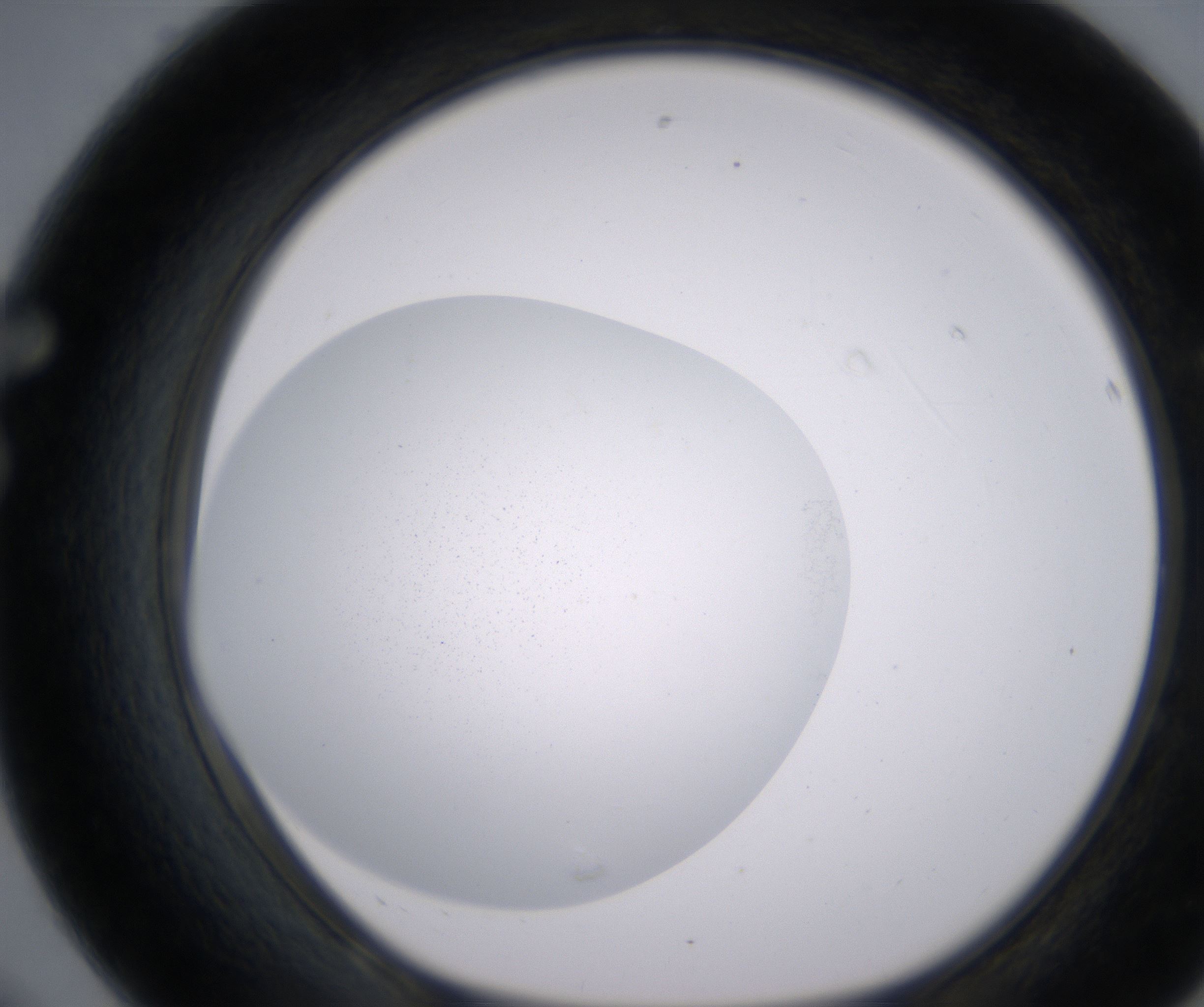 F8_HighResolution_Clear_1.jpg