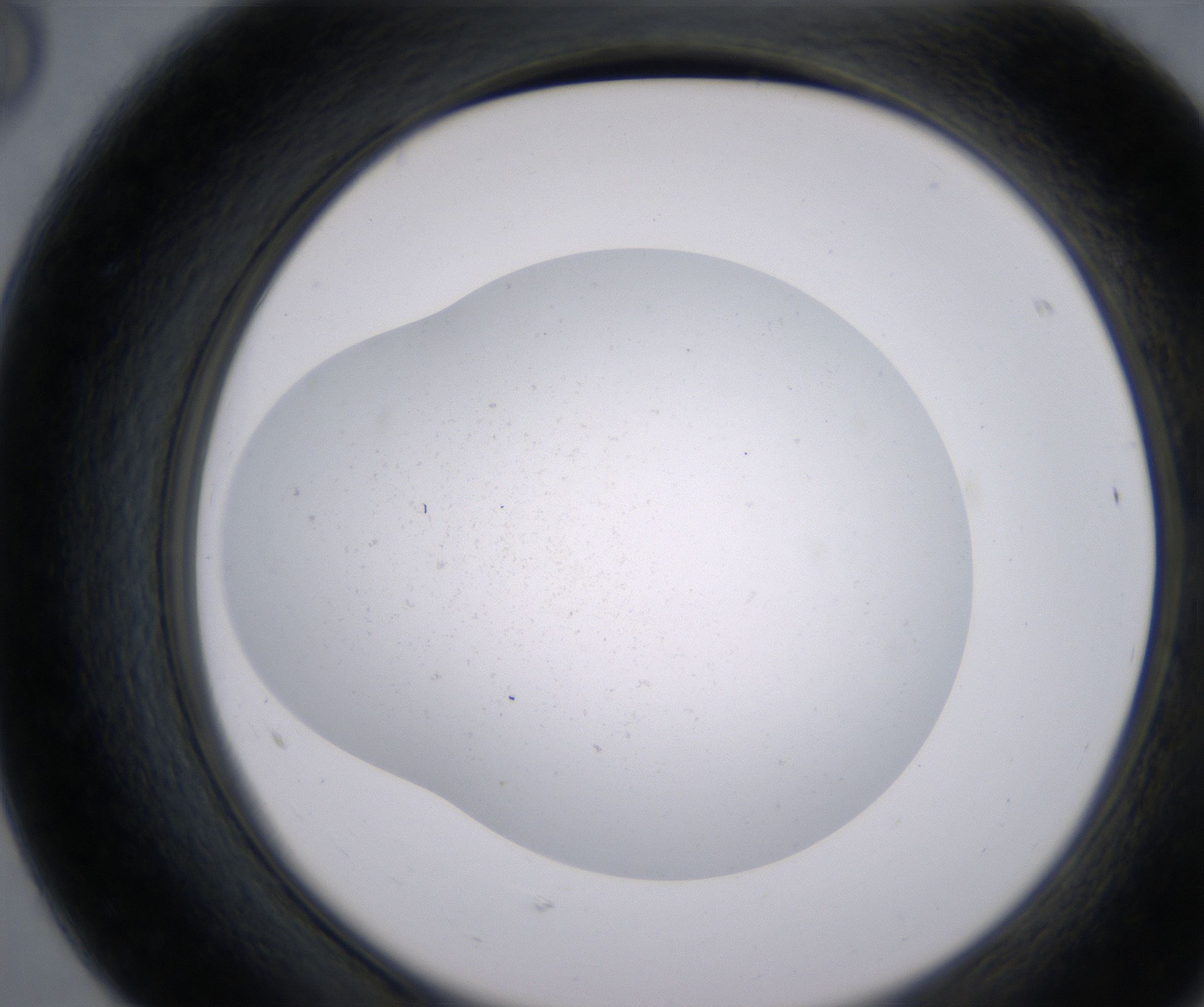 F8_HighResolution_Clear_2.jpg