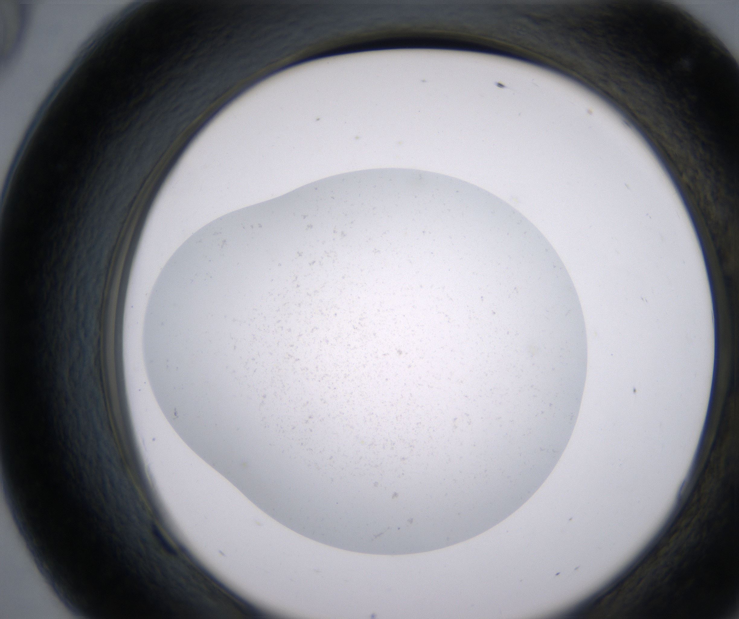 F9_HighResolution_Precipitate_2.jpg