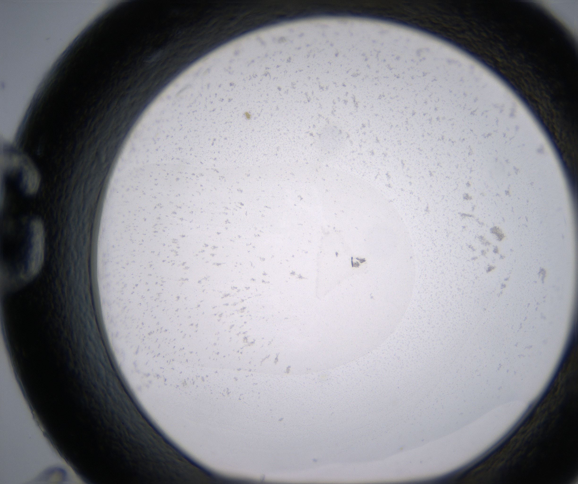 G11_HighResolution_Precipitate_1.jpg