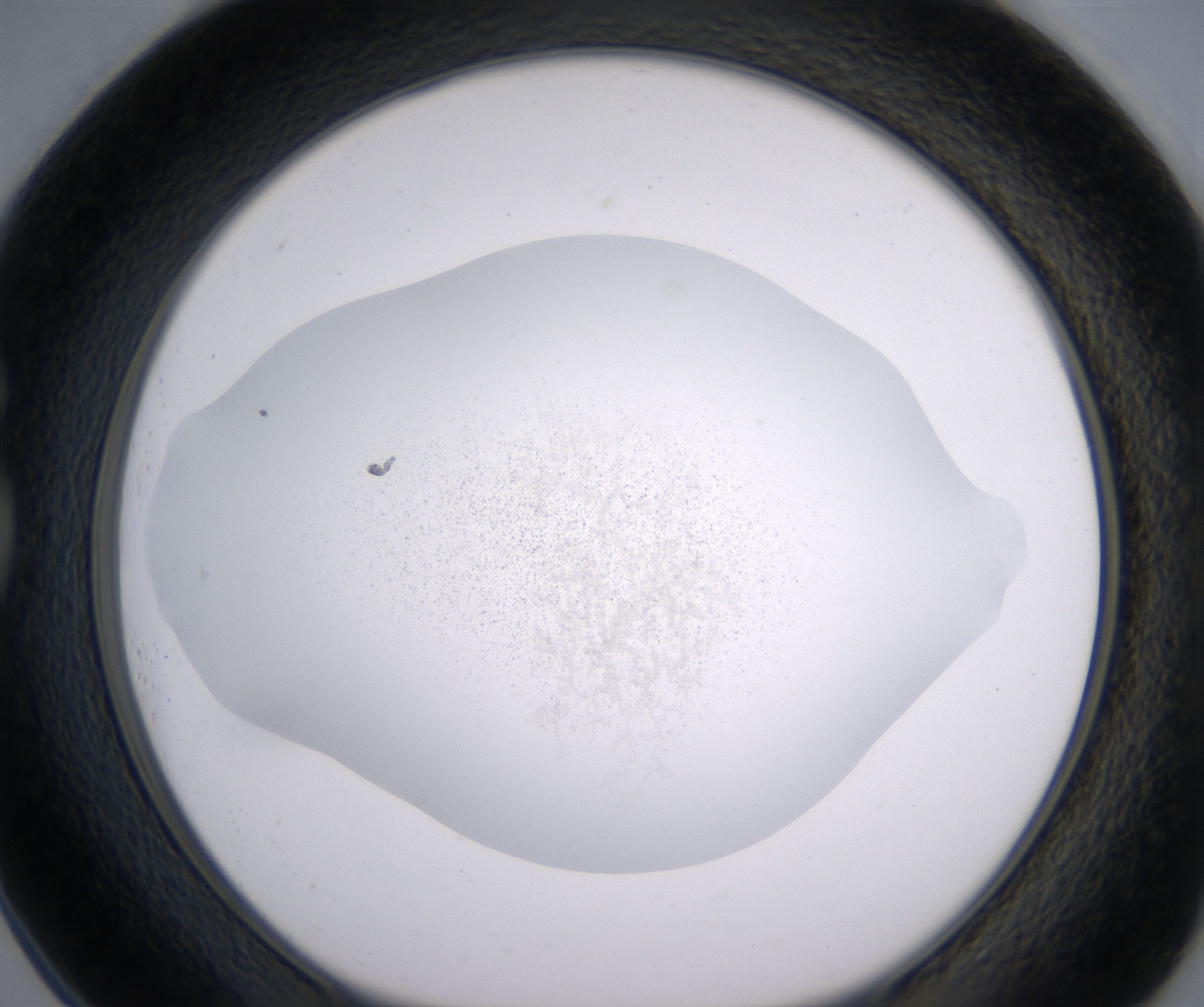 G1_HighResolution_Precipitate_1.jpg