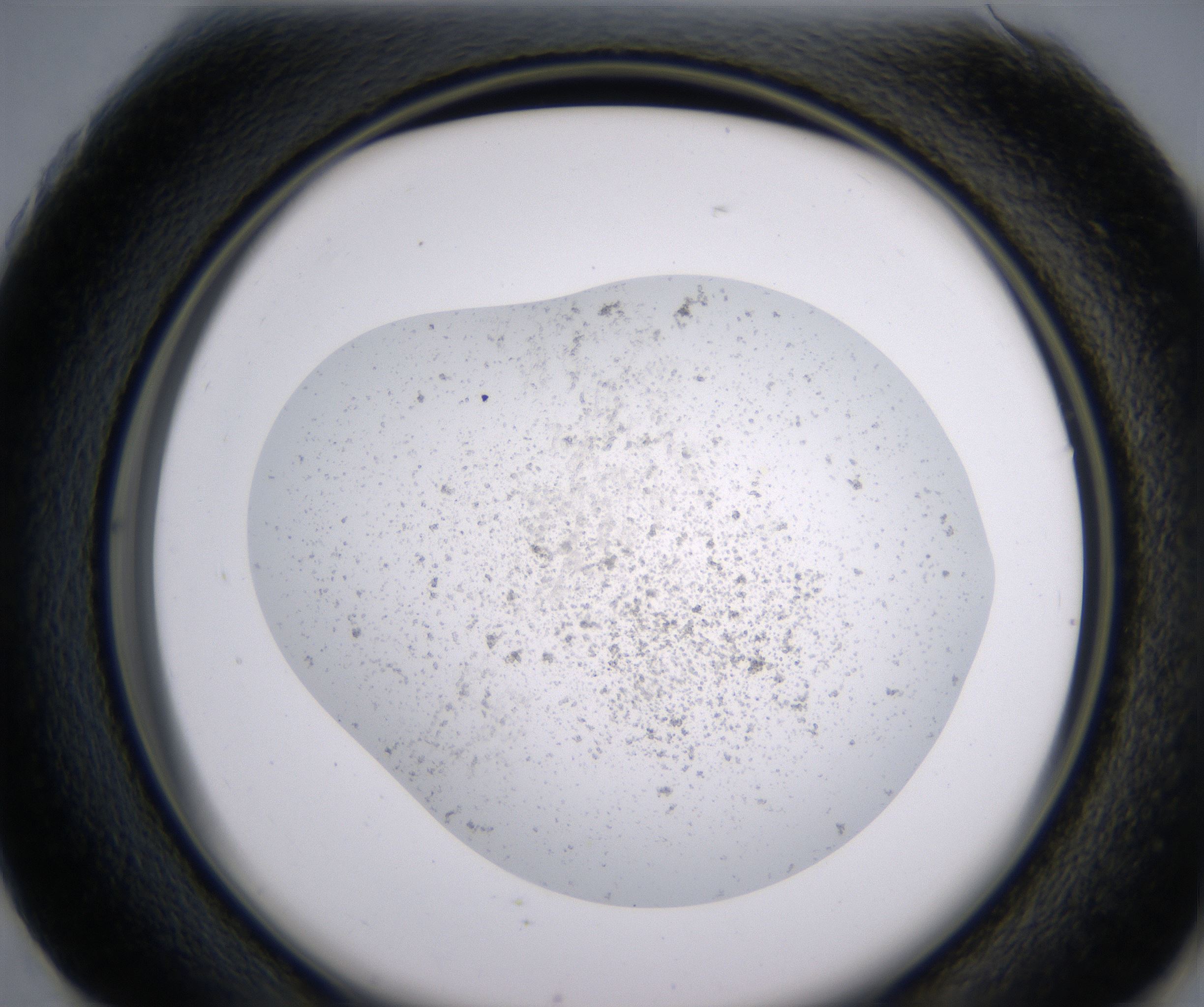 G1_HighResolution_Precipitate_2.jpg