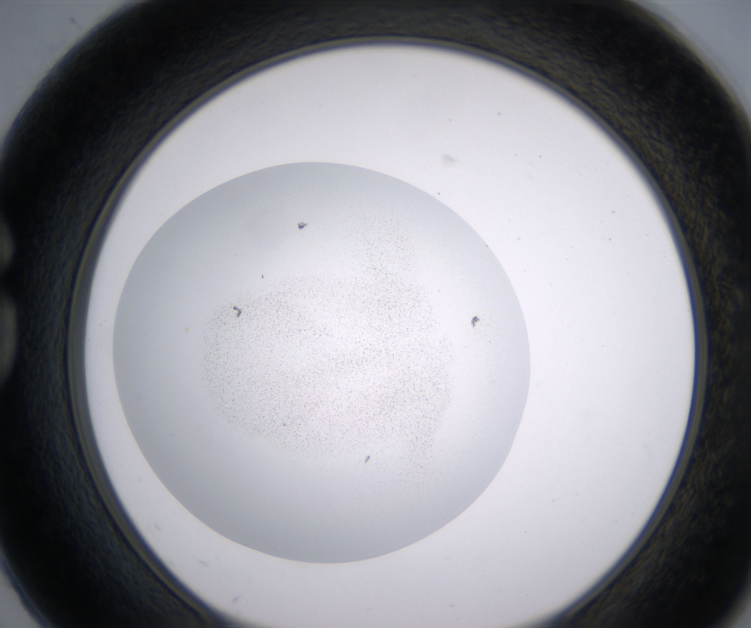 G2_HighResolution_Precipitate_1.jpg