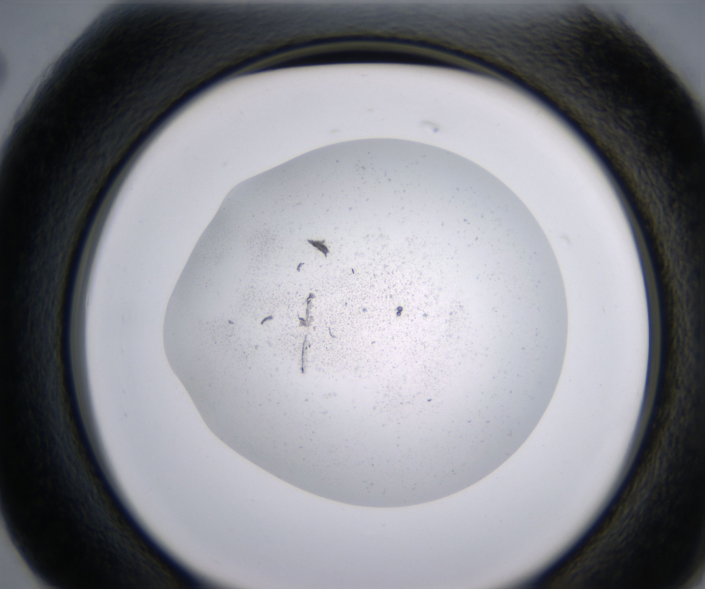 G2_HighResolution_Precipitate_2.jpg