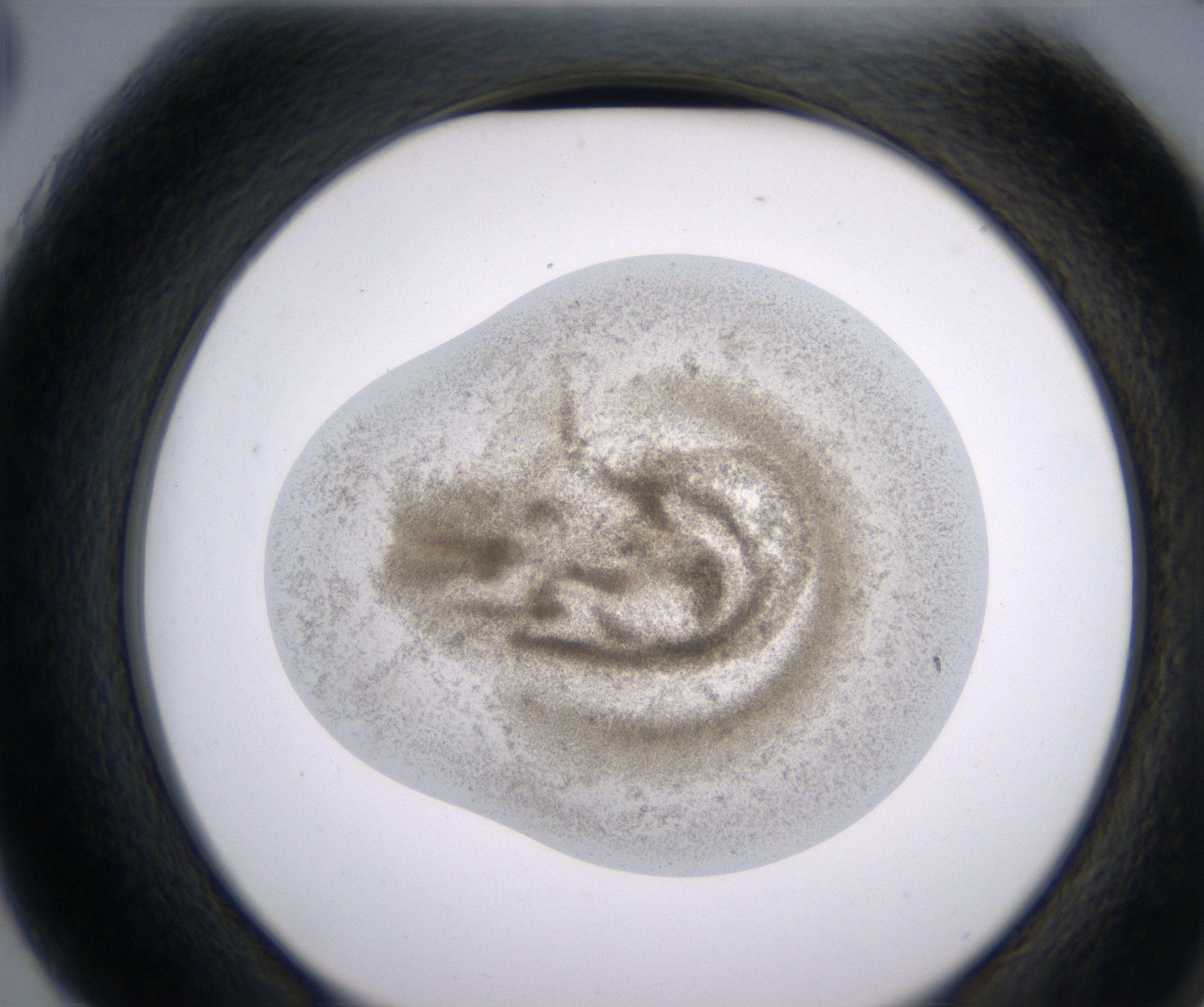 G3_HighResolution_Precipitate_2.jpg