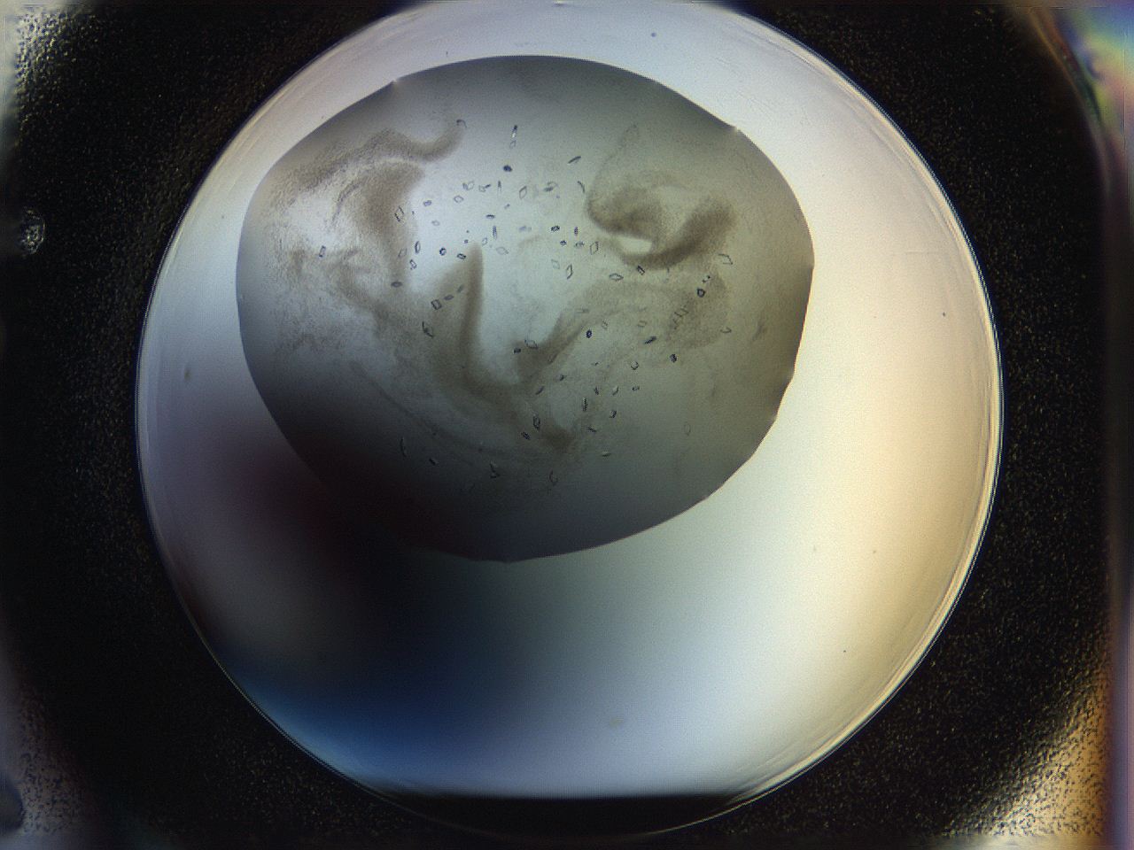 05jp_F6_ImagerDefaults_8.jpg