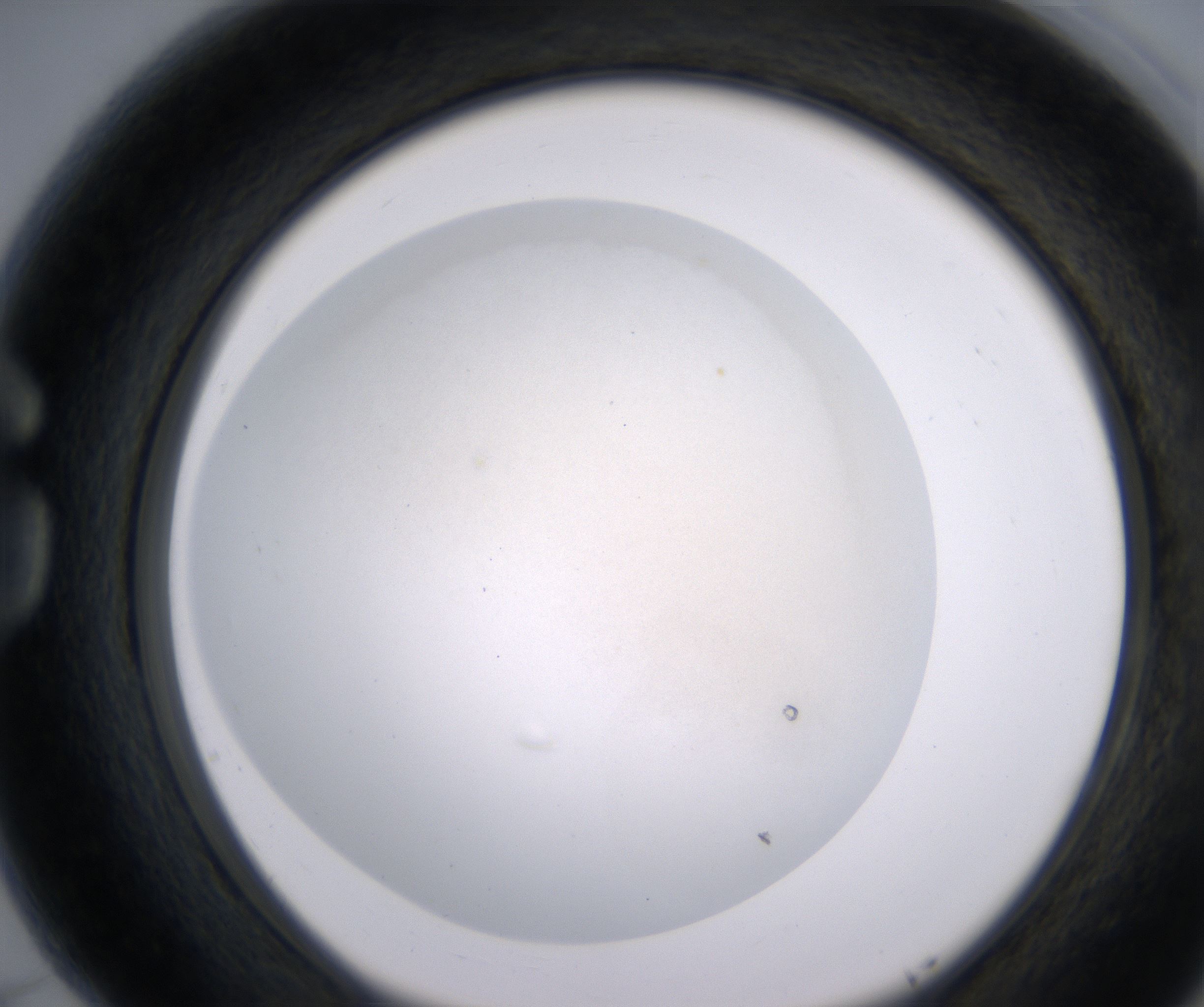 G5_HighResolution_Clear_1.jpg