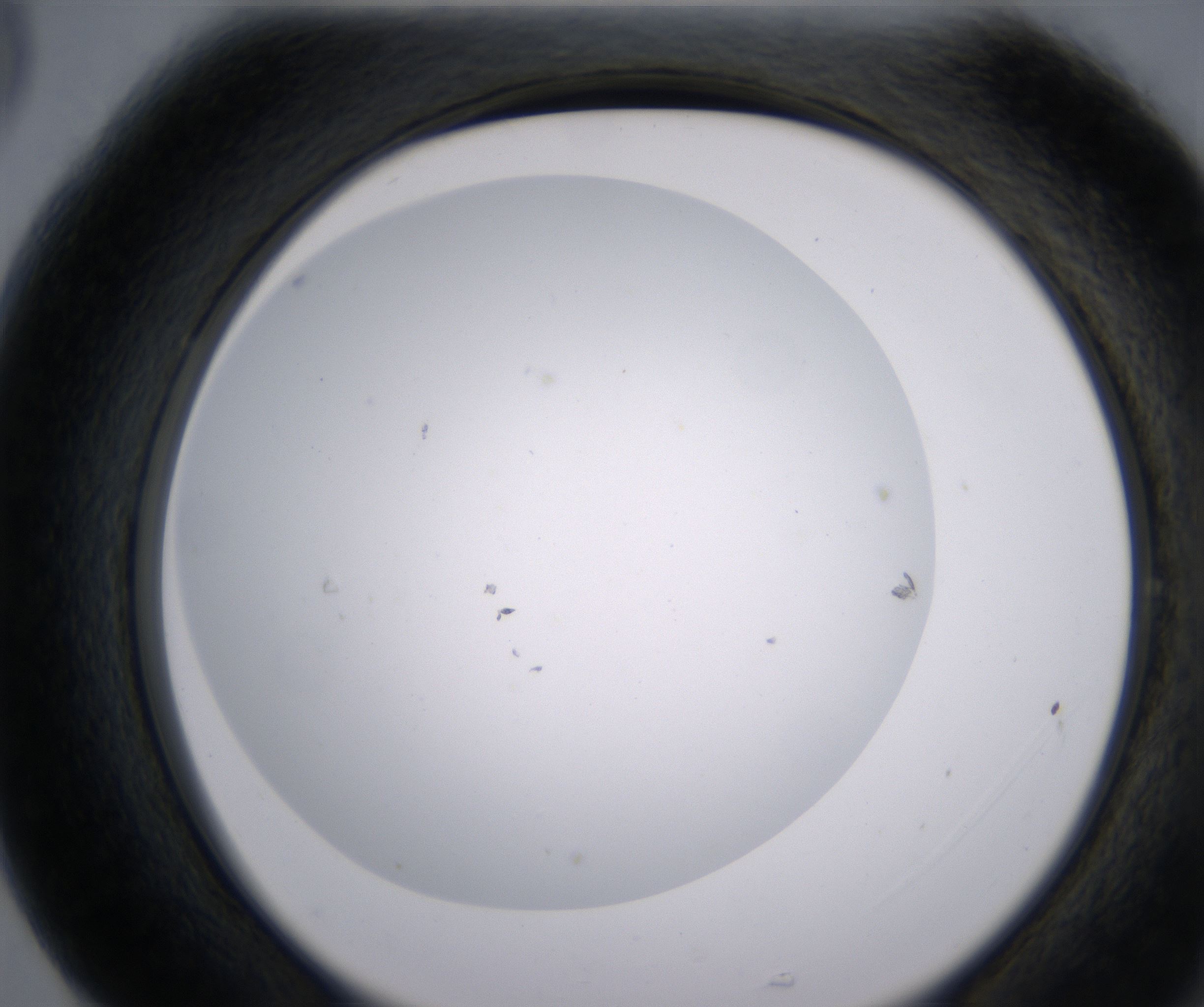 G5_HighResolution_Clear_2.jpg