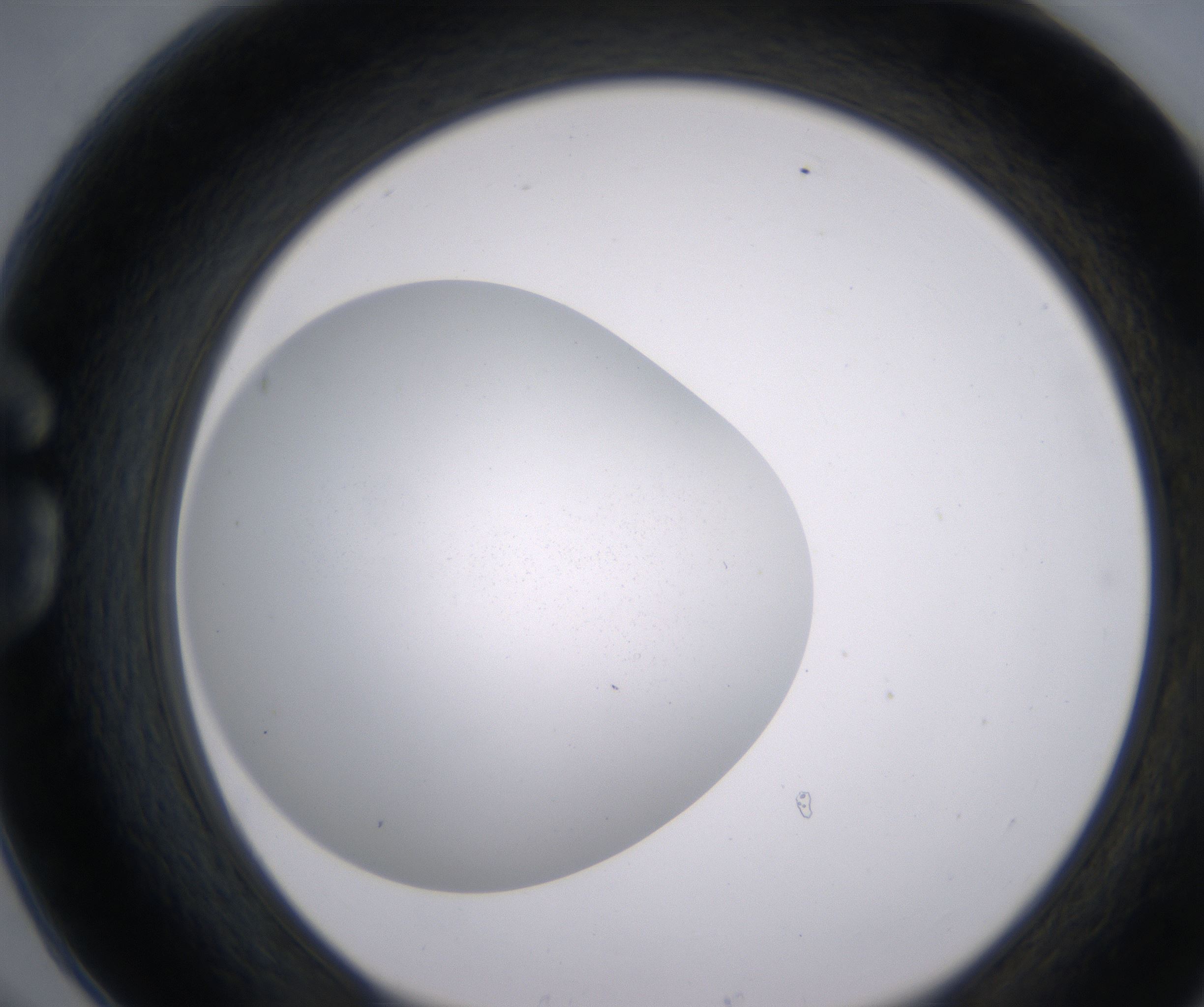G6_HighResolution_Clear_1.jpg