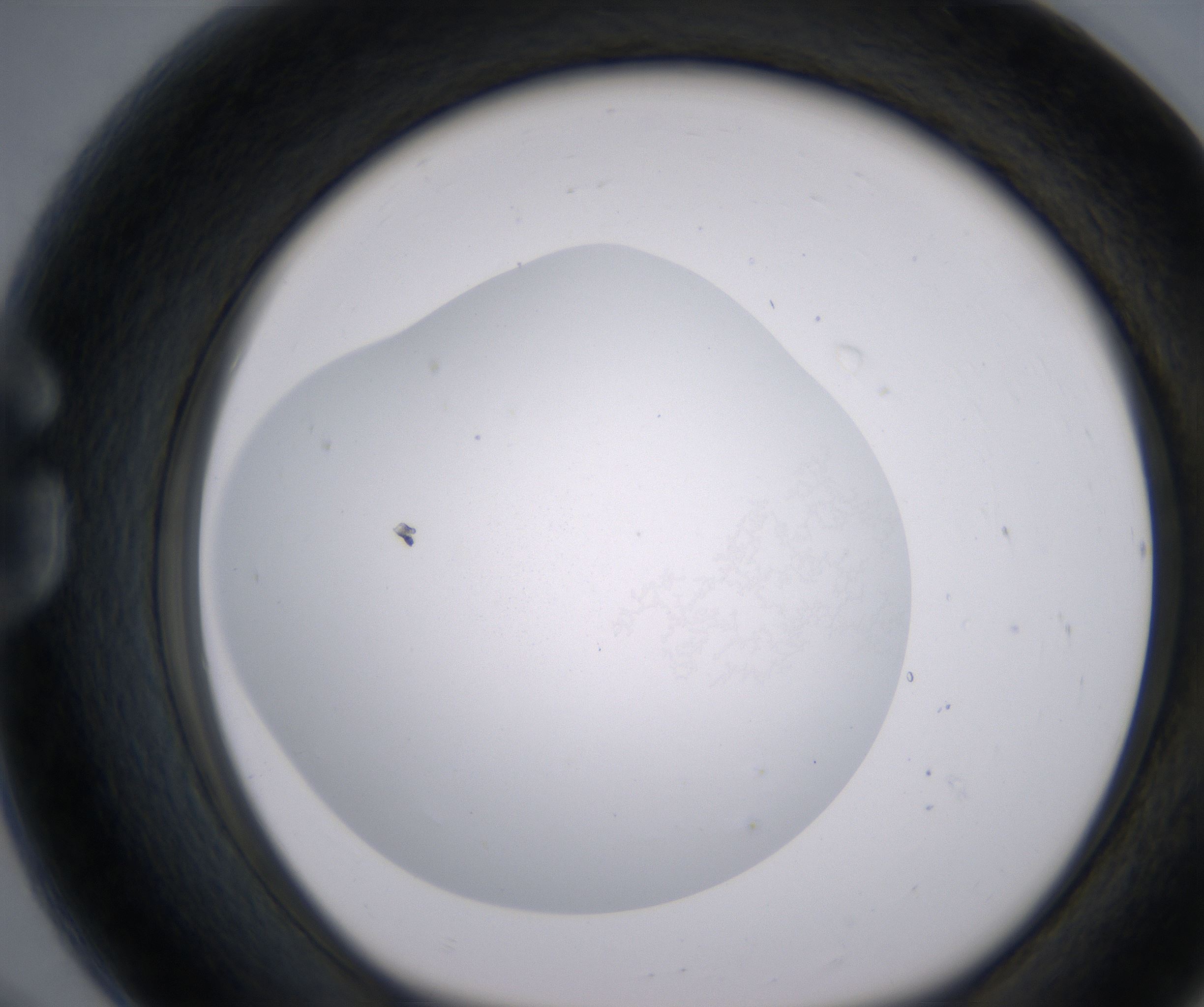 G8_HighResolution_Clear_1.jpg