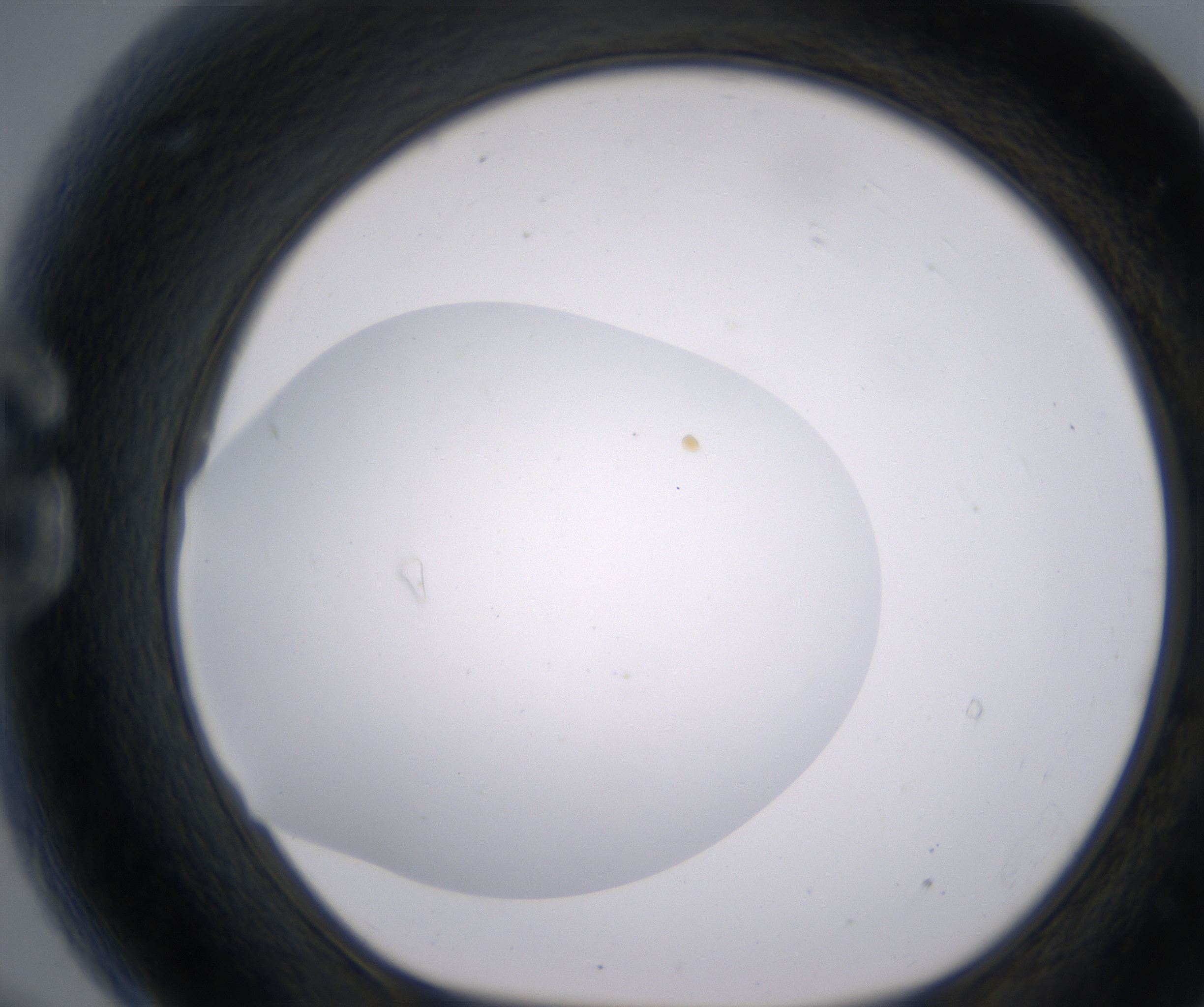 G9_HighResolution_Clear_1.jpg