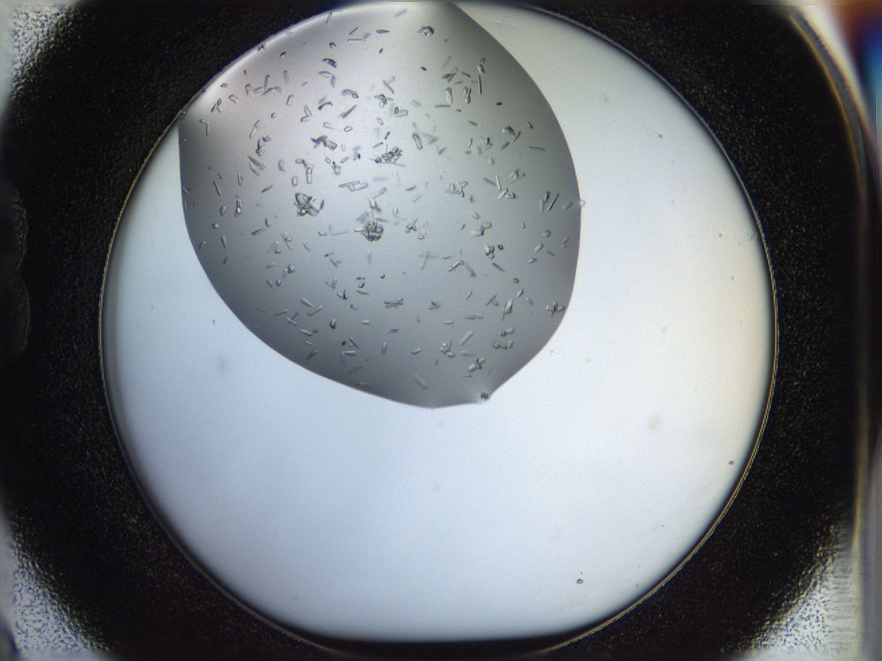 05jp_B9_ImagerDefaults_8.jpg