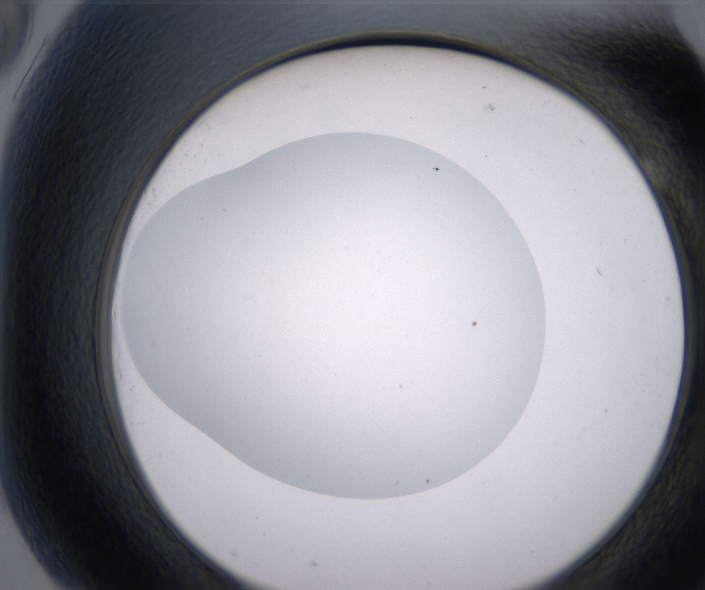 G9_HighResolution_Clear_2.jpg