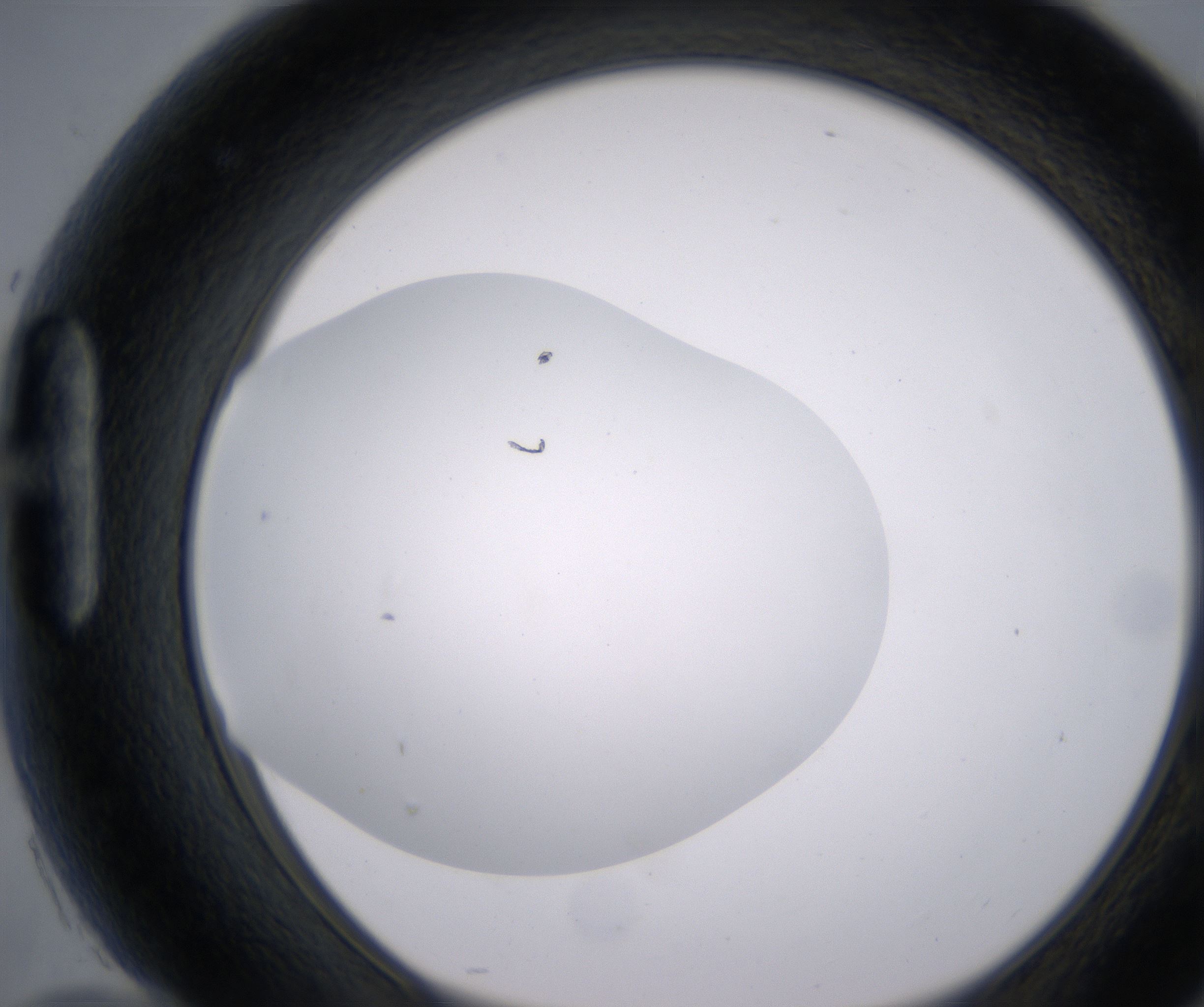 H10_HighResolution_Clear_1.jpg