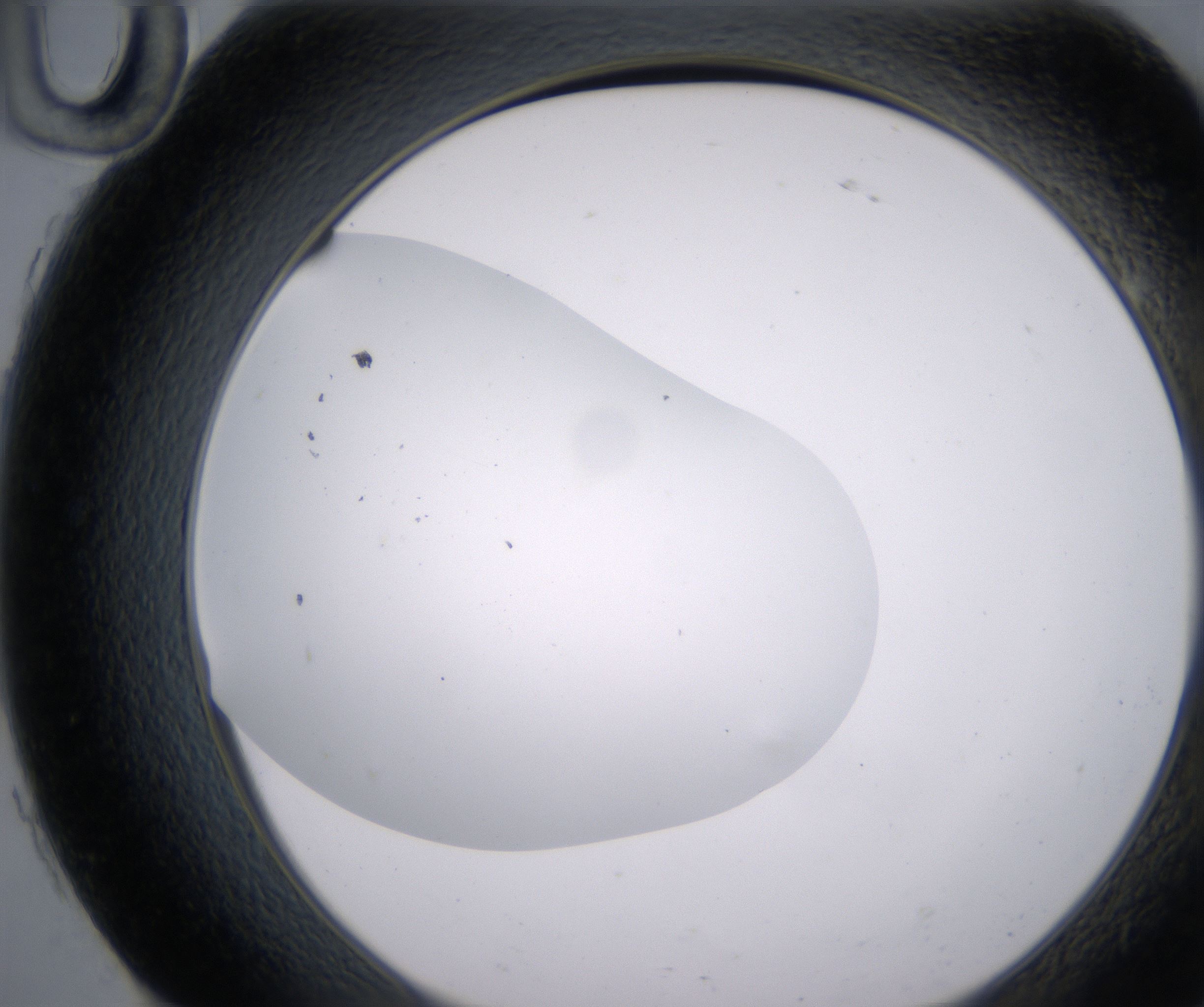 H10_HighResolution_Clear_2.jpg