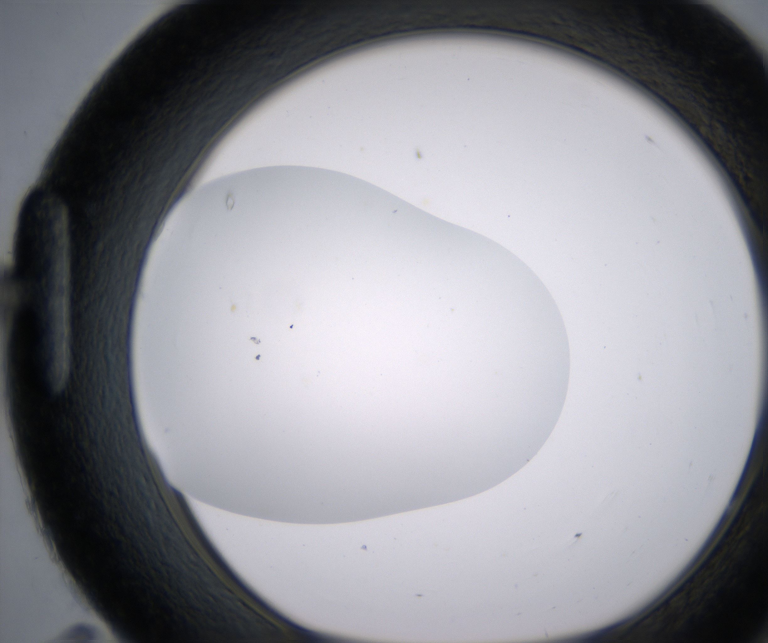 H11_HighResolution_Clear_1.jpg