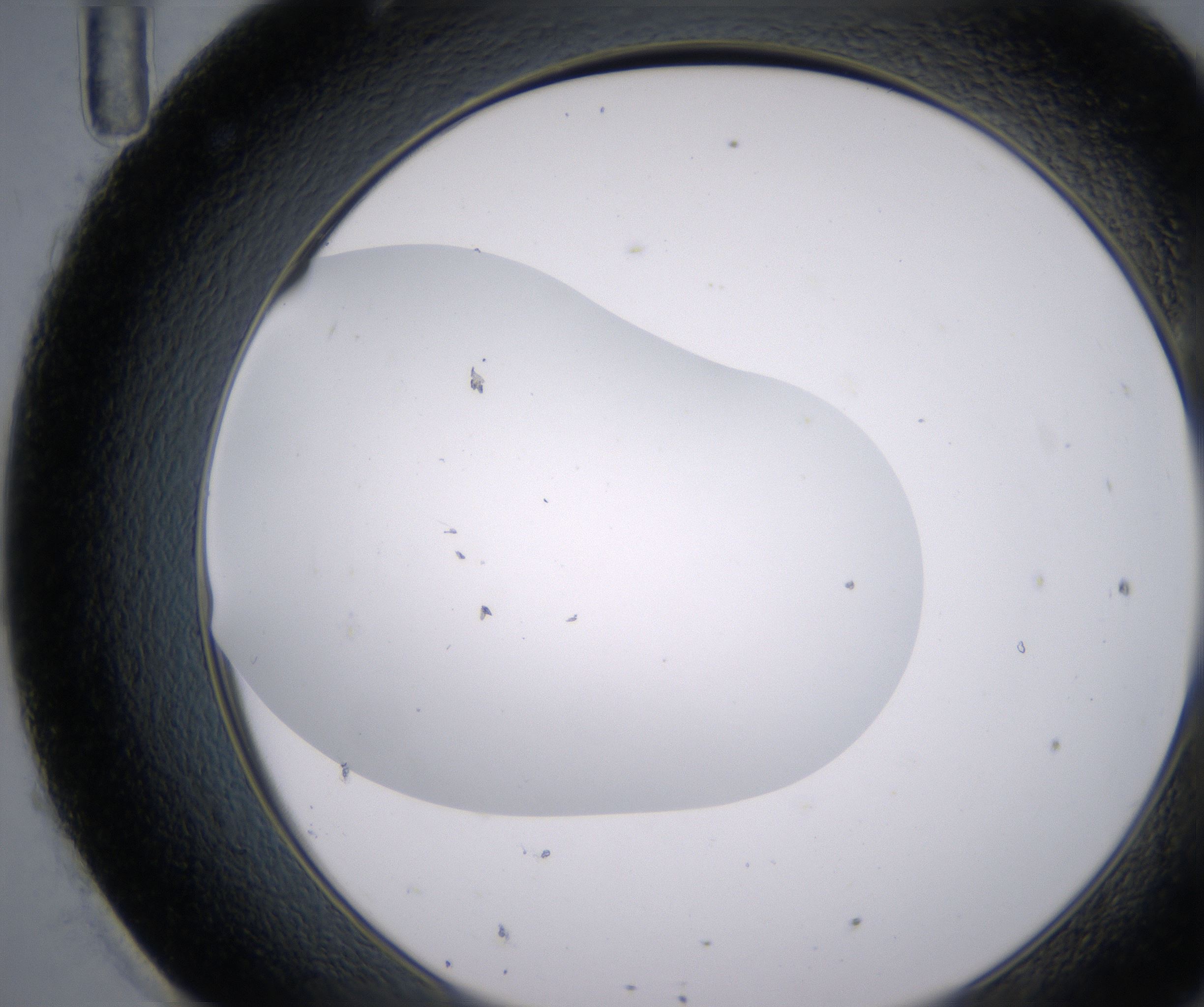 H11_HighResolution_Clear_2.jpg