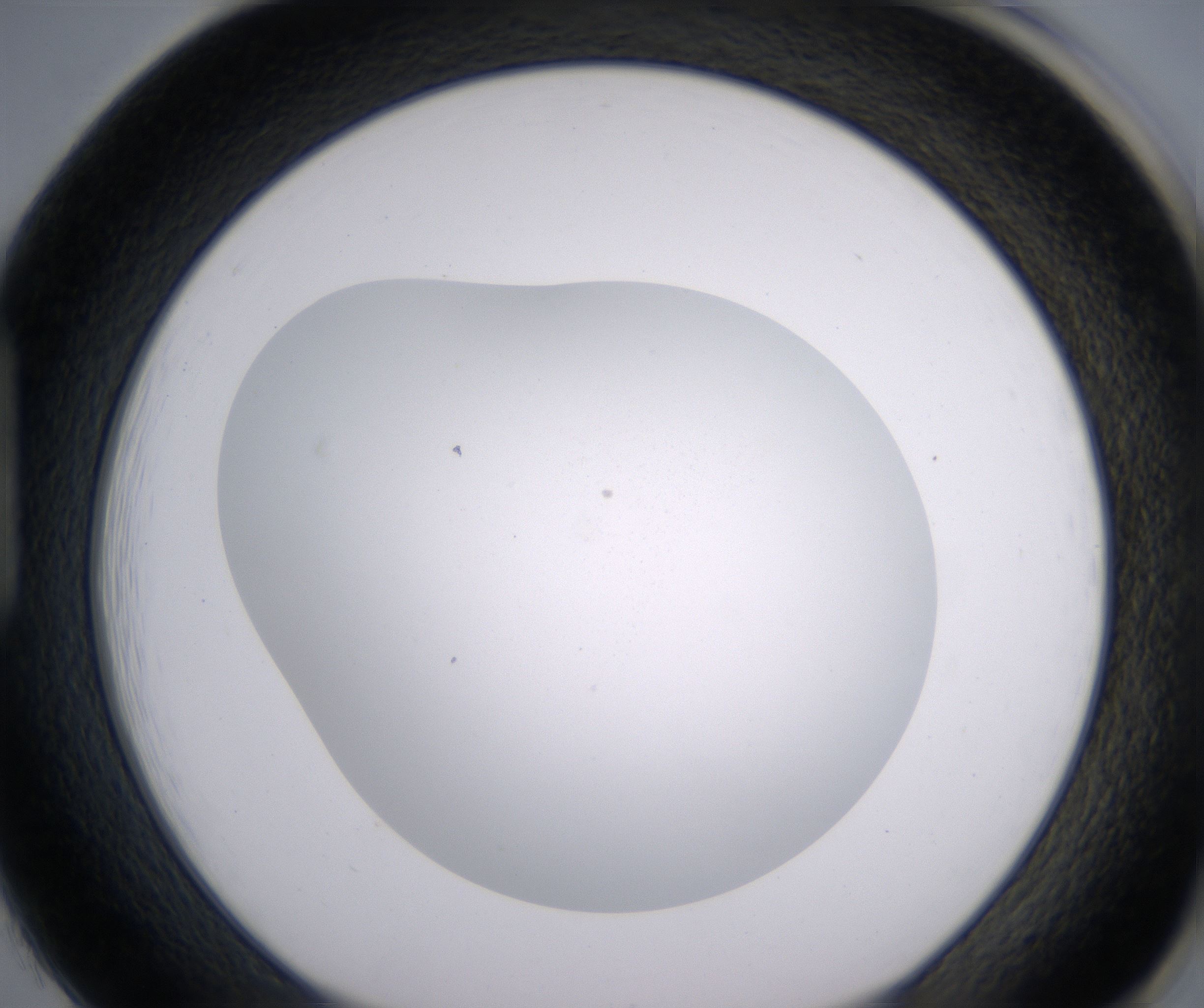 H1_HighResolution_Clear_1.jpg