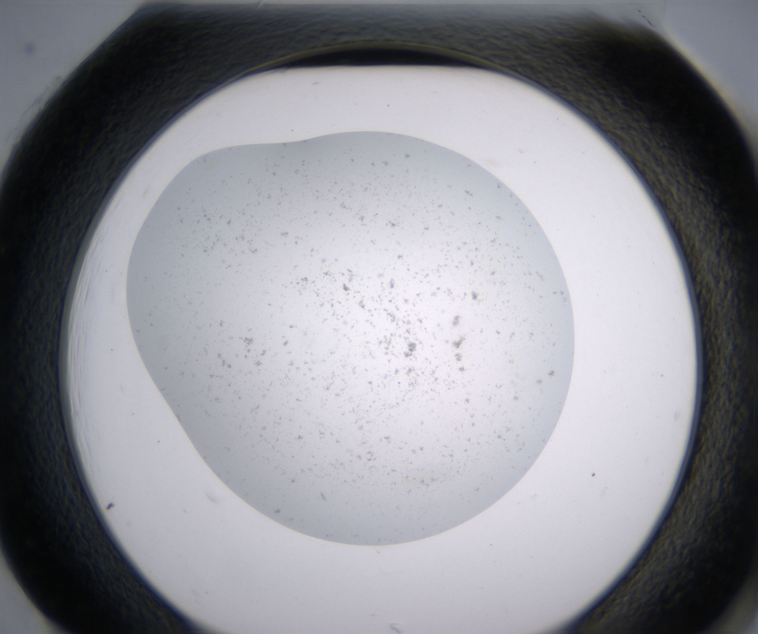 H1_HighResolution_Precipitate_2.jpg