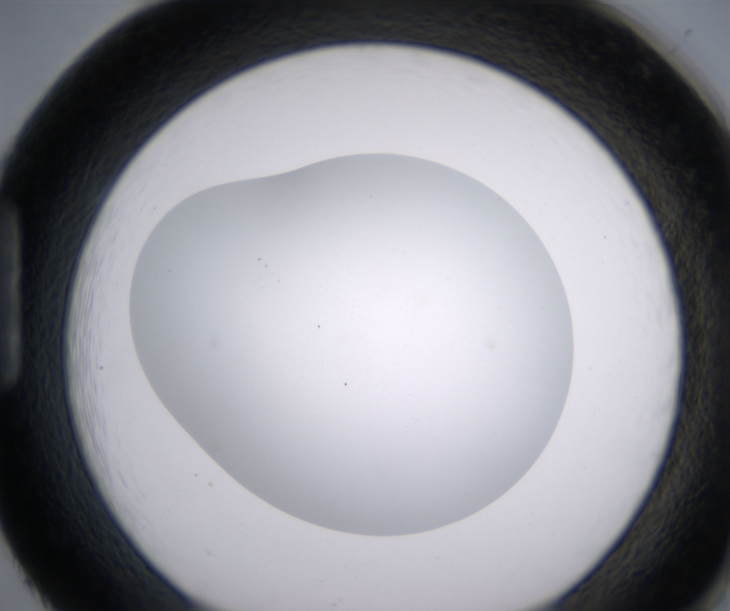 H2_HighResolution_Clear_1.jpg