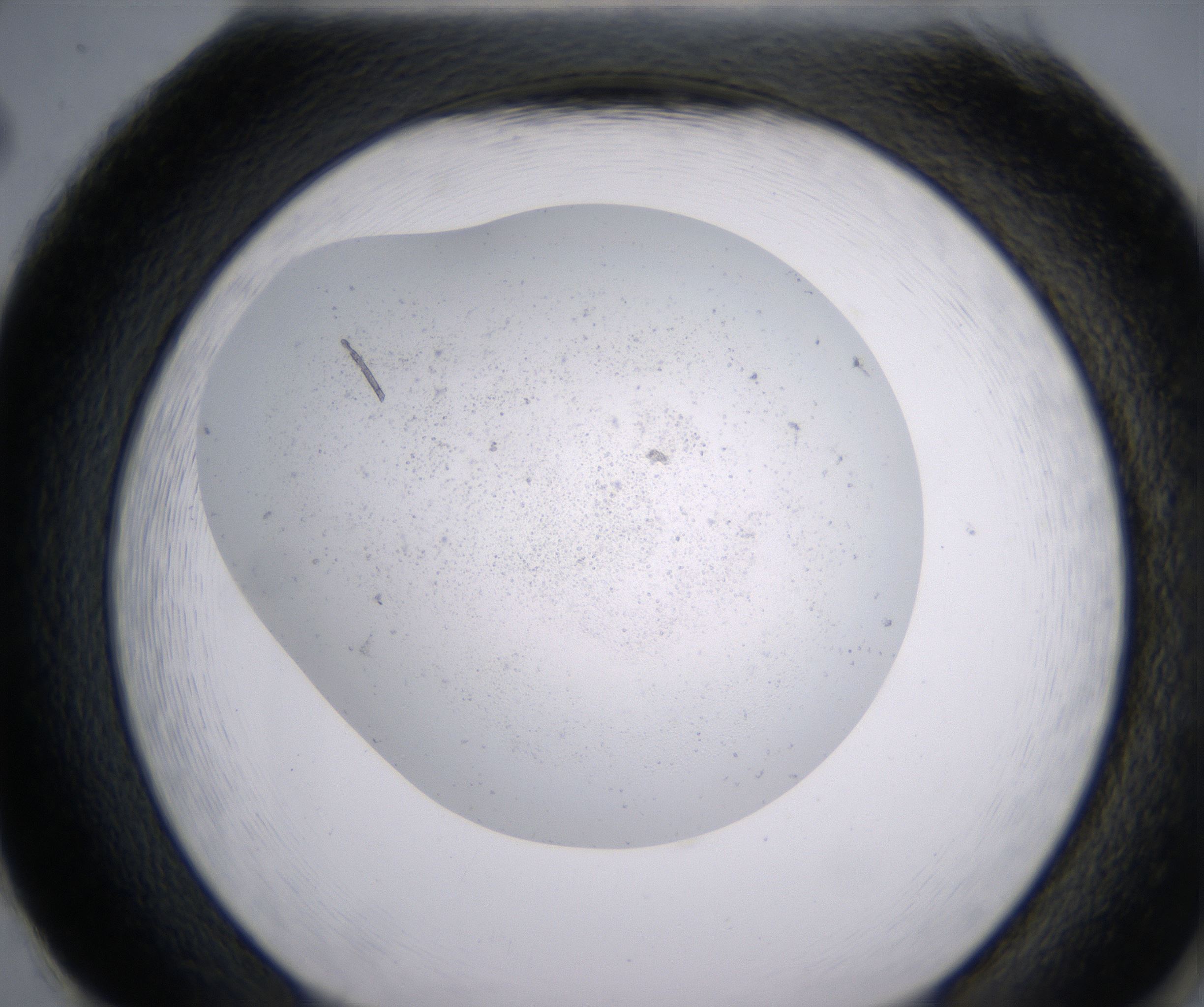 H2_HighResolution_Precipitate_2.jpg