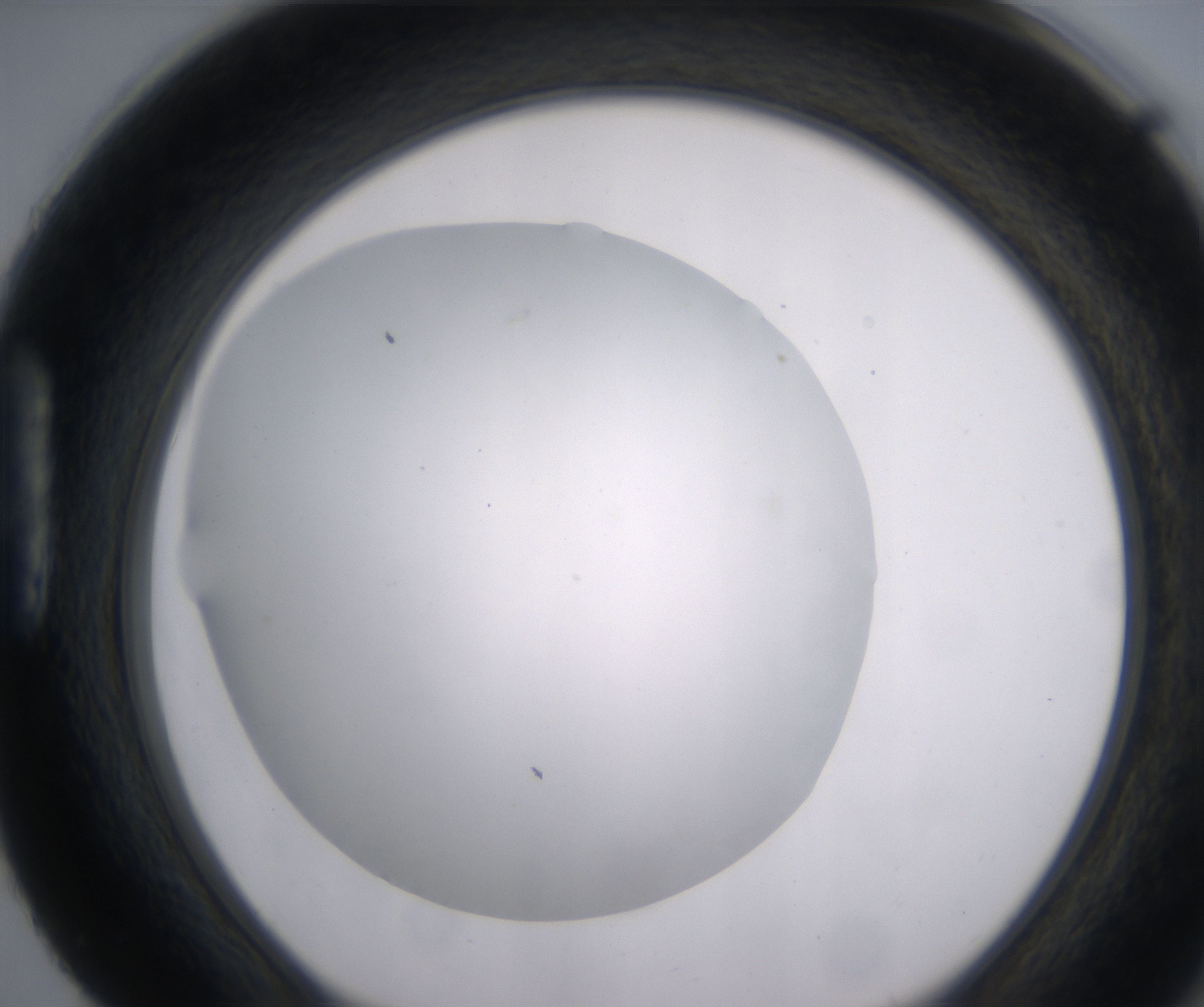 H4_HighResolution_Clear_1.jpg