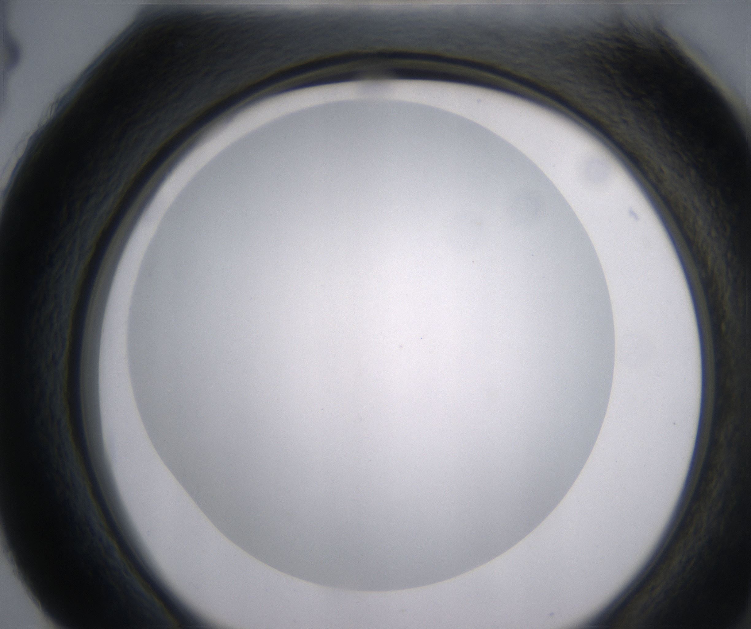 H4_HighResolution_Clear_2.jpg