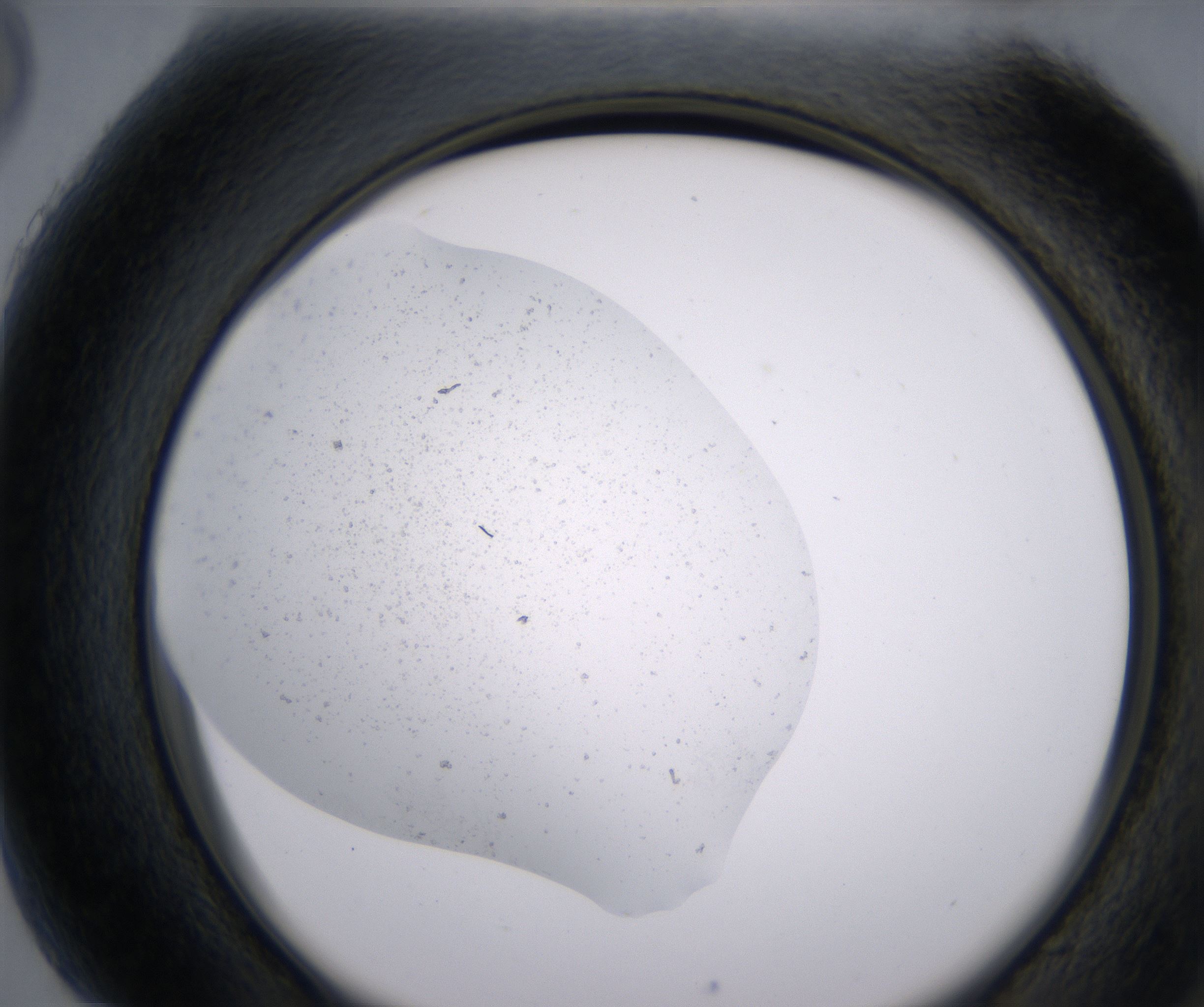 H5_HighResolution_Precipitate_2.jpg