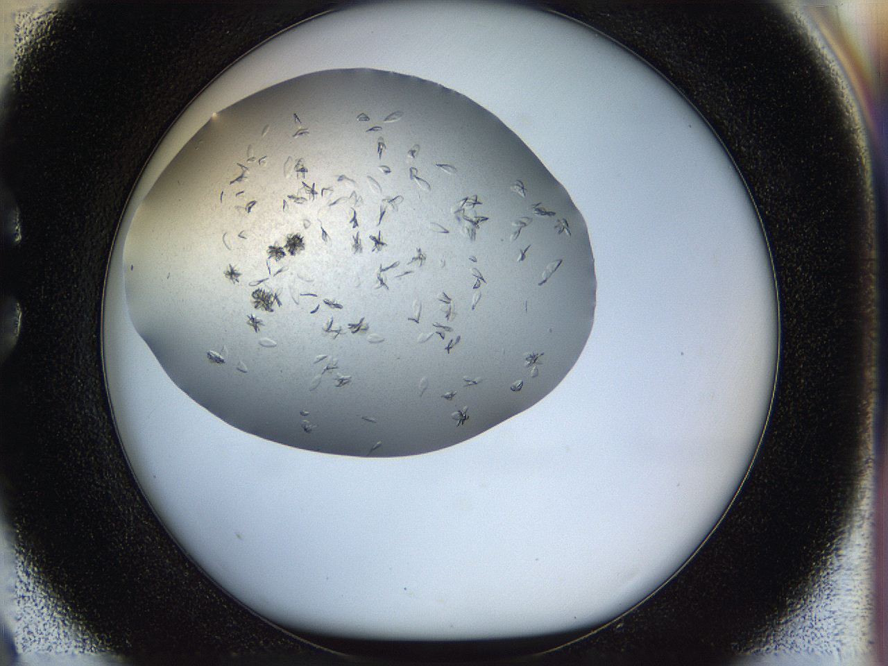 05jp_C9_ImagerDefaults_8.jpg